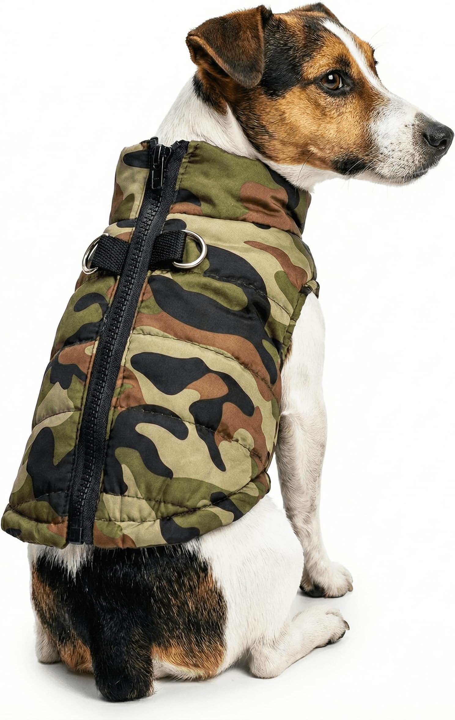 DroolingDog Dog Winter Jacket Camo Waterproof Coat Dog Camouflage Costume for Small Dogs, Medium, Army Green