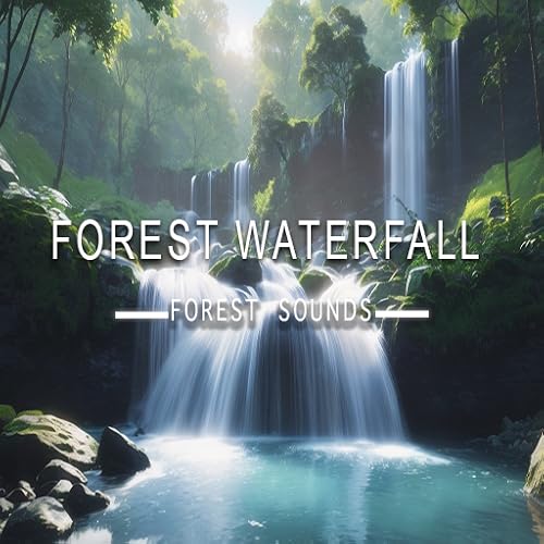 Détendez-vous et détendez-vous: Cascades du paysage sonore - Économiseur d'écran Nature 4K avec Audio personnalisé pour tablettes et Fire TV