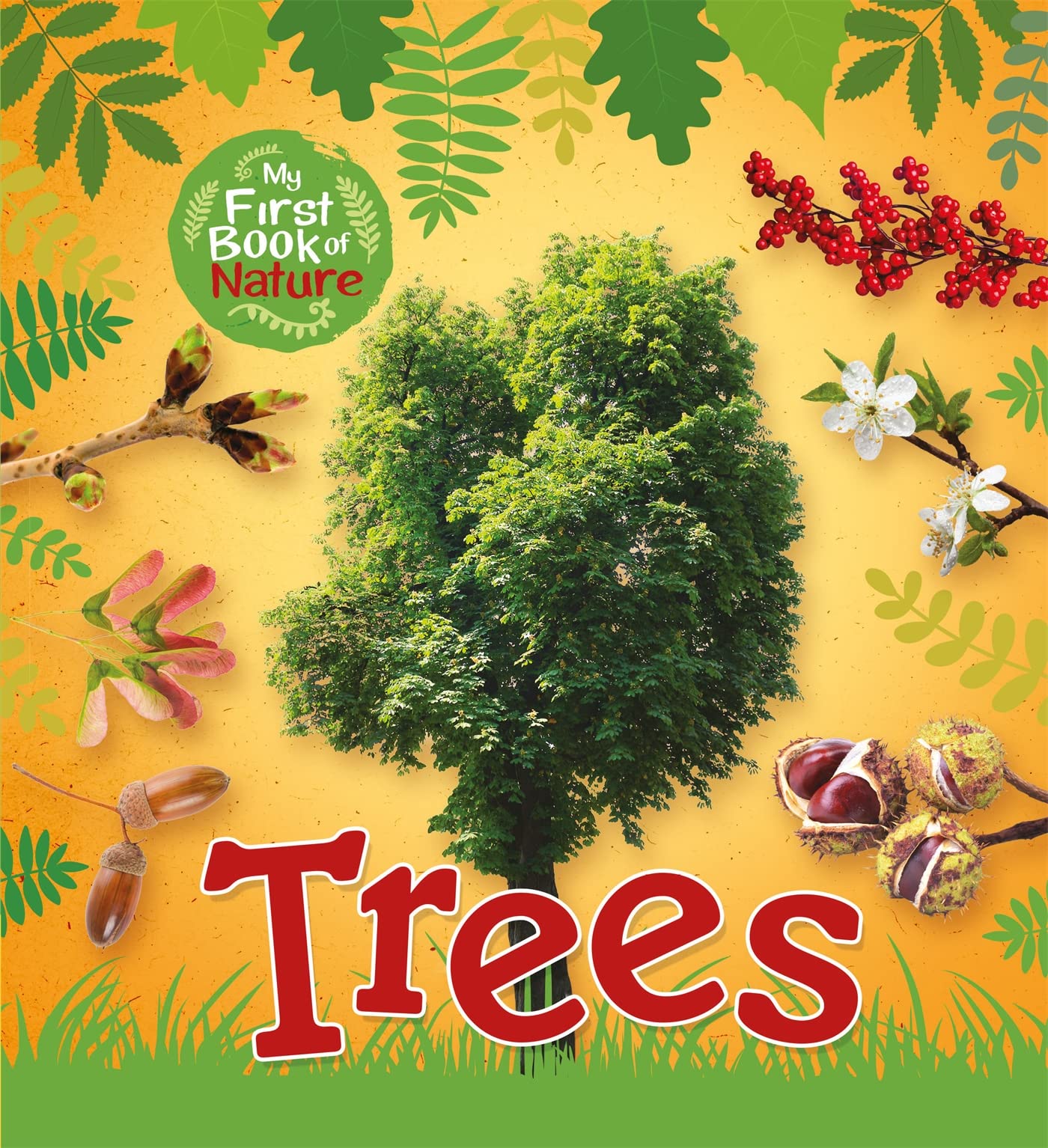 MY FIRST BOOK OF NATURE: TREES