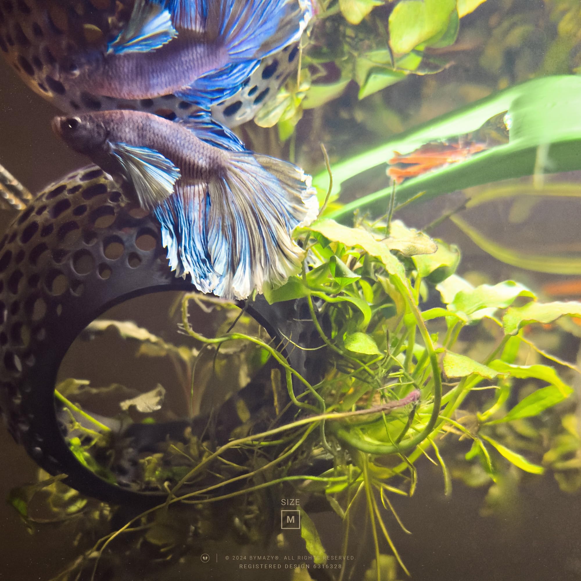byMazy Betta Cave Lounge, Clear White, S - Image 4