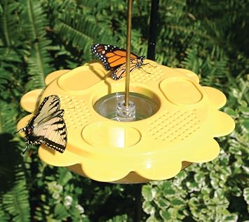 Birds Choice Flutterby Butterfly Feeder Outdoor Feeder with 12 oz. Nectar Capacity and Fruit Trays, Includes Brass Hanging Rod