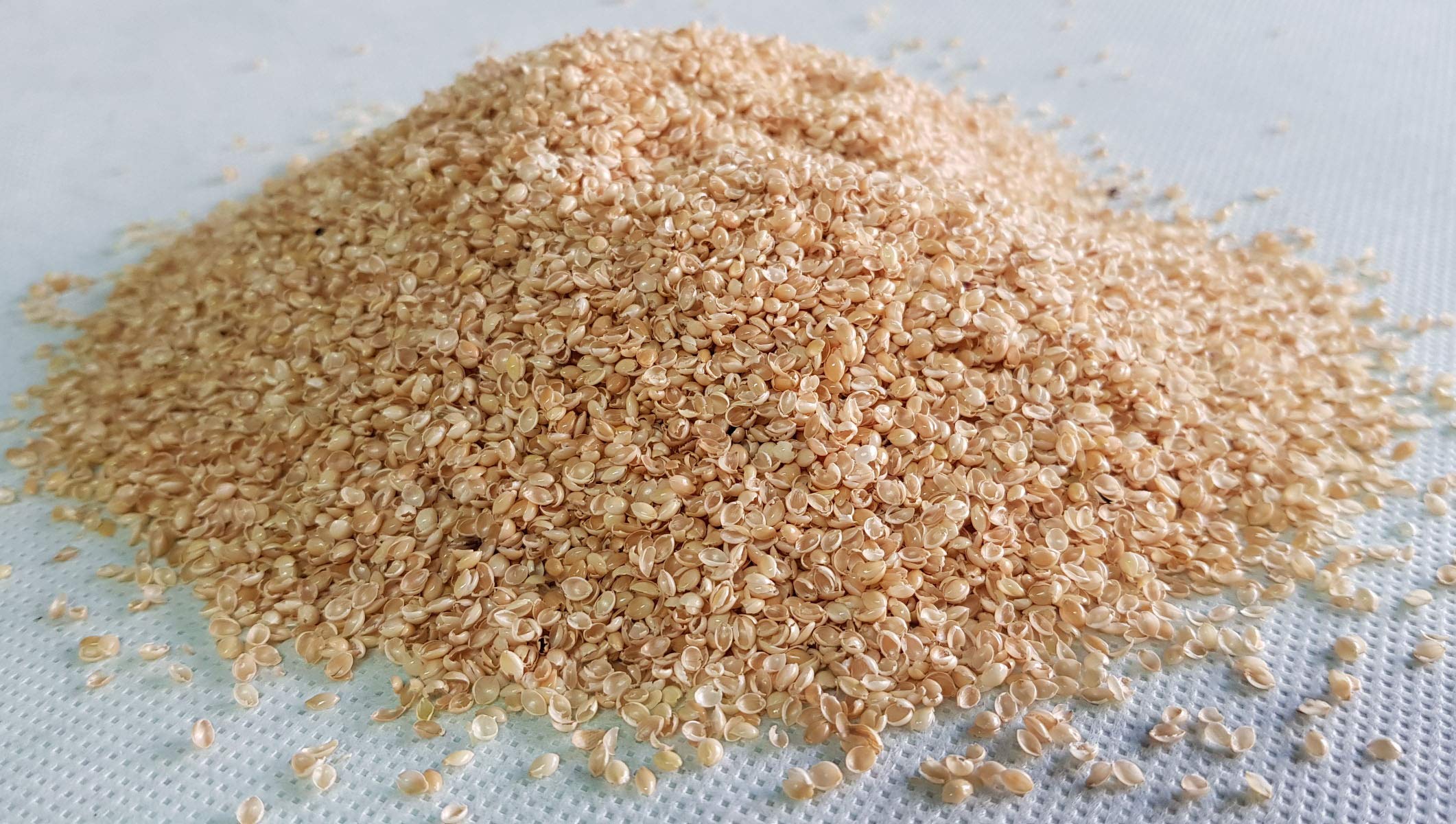 Vetrina del Benessere SOGNI D'ORO -cm. 40 x 80- Guanciale Ortopedico Cuscino per Letto con Imbottitura Naturale in Pula di Miglio Depolverizzata completo di Federa Lavabile in 100% Cotone