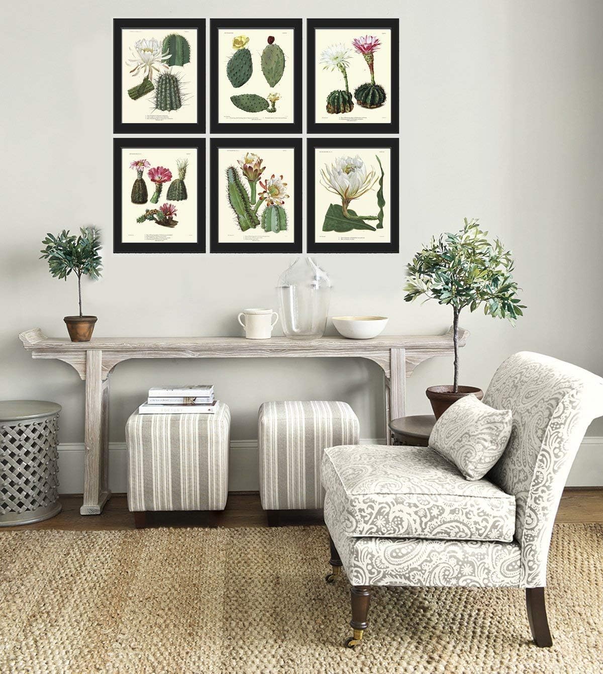 Cactus Botanical Print Set of 6 Antique Beautiful Tropical Plant Blooming White Pink Yellow Flowers Desert Garden Nature Home Room Decor Wall Art Unframed LoveThePrint