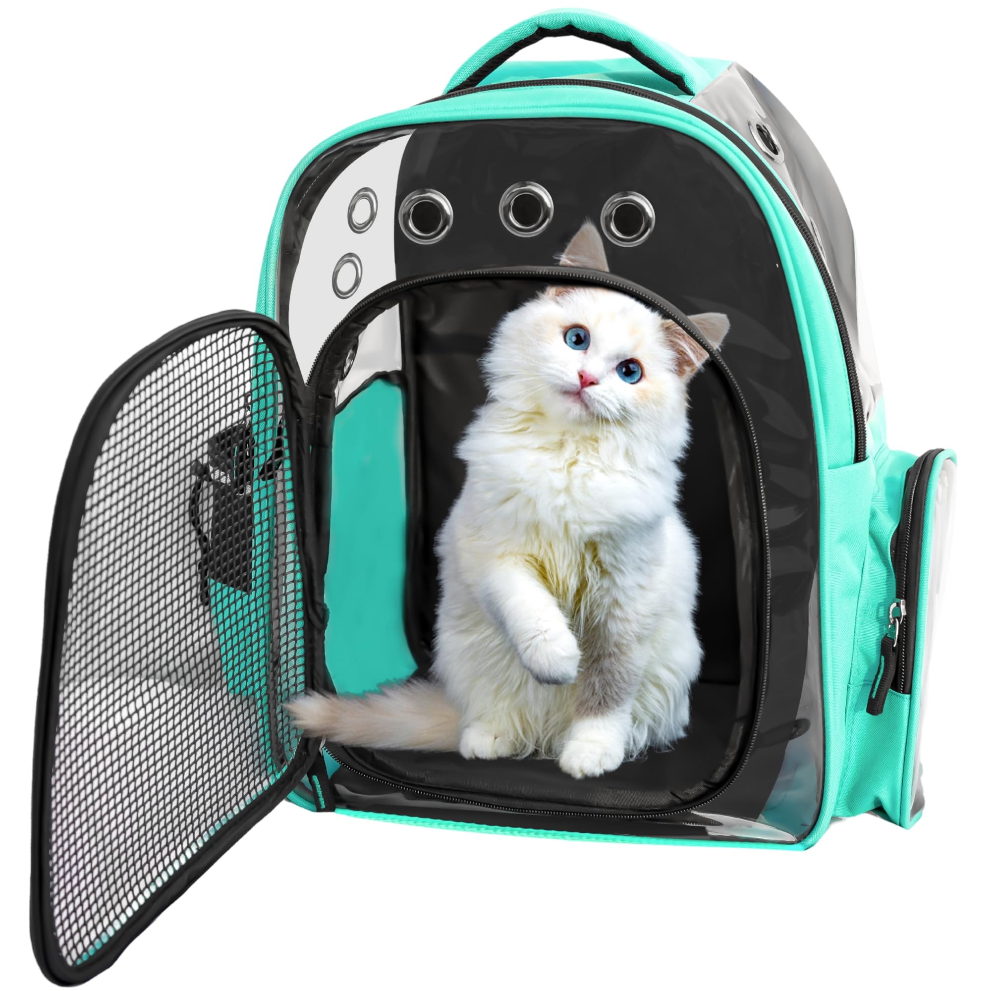 Buraq Breathable Design Pet Carrier Backpack for Hot Weather Travel, Hiking, Ventilated, Touring, Airline-Approved, Sturdy Base cat Bag for Cats Kitten Puppy (Sea - Green, Transpicuous See-Through)