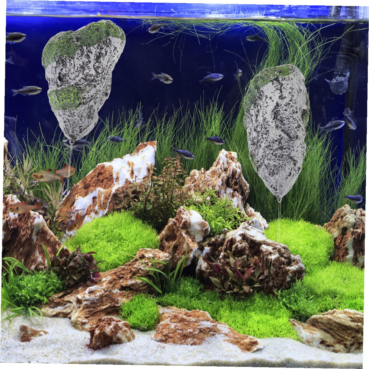 【美形】軽石　岩石　水槽　装飾 アクアリウム　NO6 Amazon | CORHAD リアルな苔付き浮石 水槽用樹脂製装飾 オーナメント