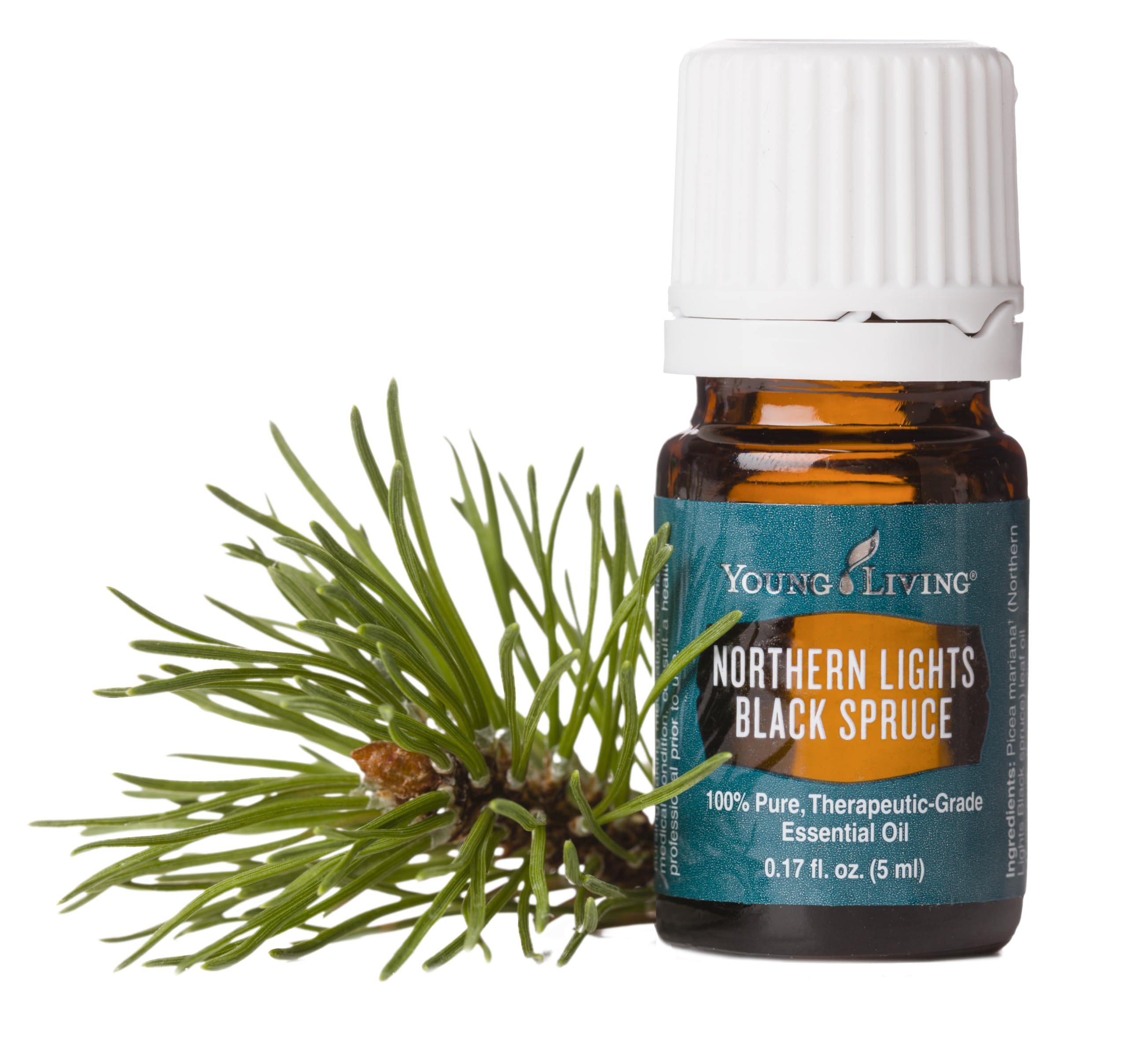 Amazon.com: Young Living Northern Black Spruce Essential Oil 5ml