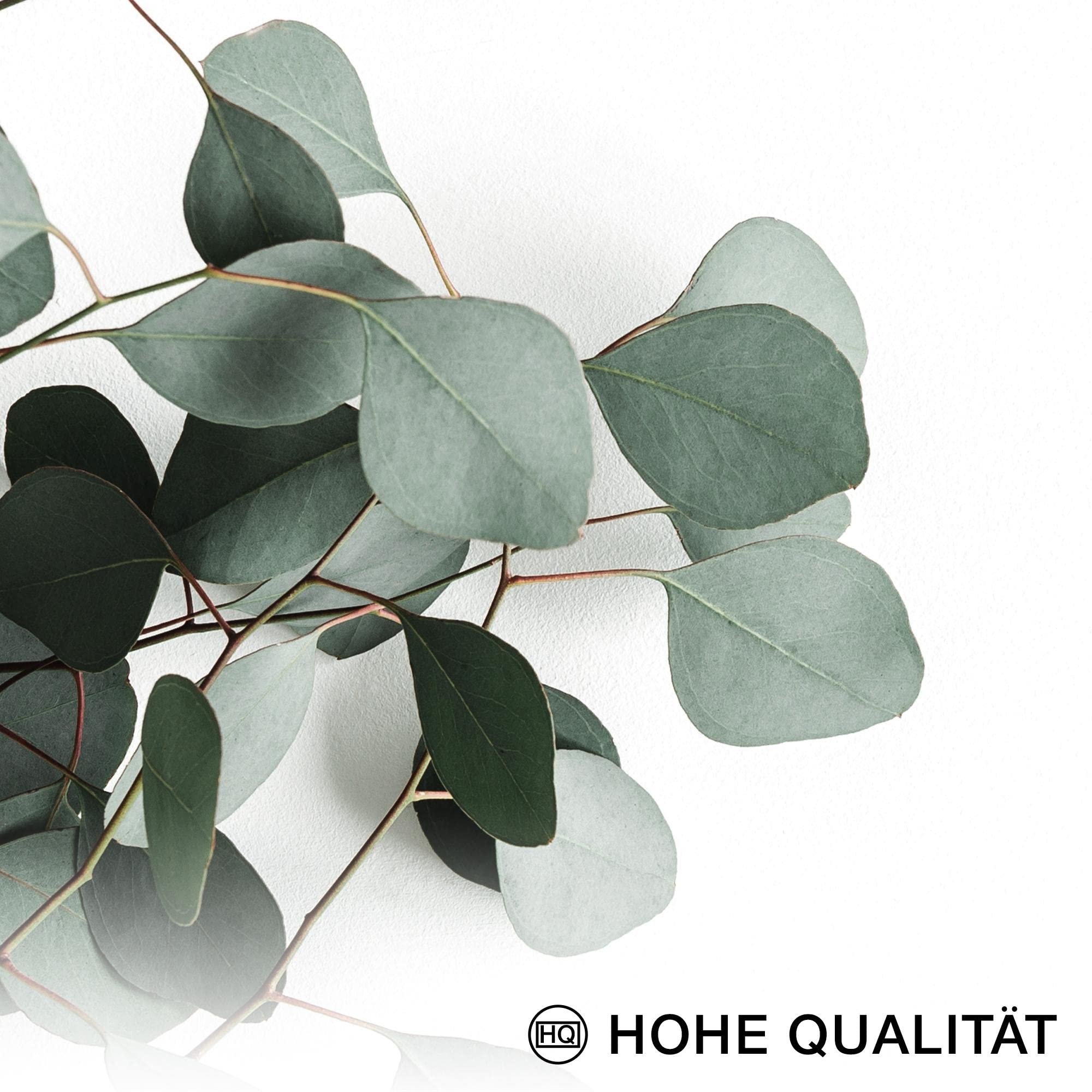 Novart Wandbilder Eukalyptus Pflanze - KOMPLETT AUFHÄNGFERTIG - Grüne Blätter Wohnzimmer Schlafzimmer - 7 Moderne Mood-Bilder - N003771b