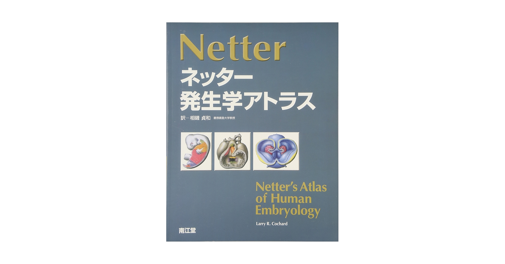ネッター解剖学アトラスと病気がみえるシリーズ 71lh831Z4fL.jpg ネッター解剖学アトラスと病気がみえるシリーズ 71lh831Z4fL.jpg