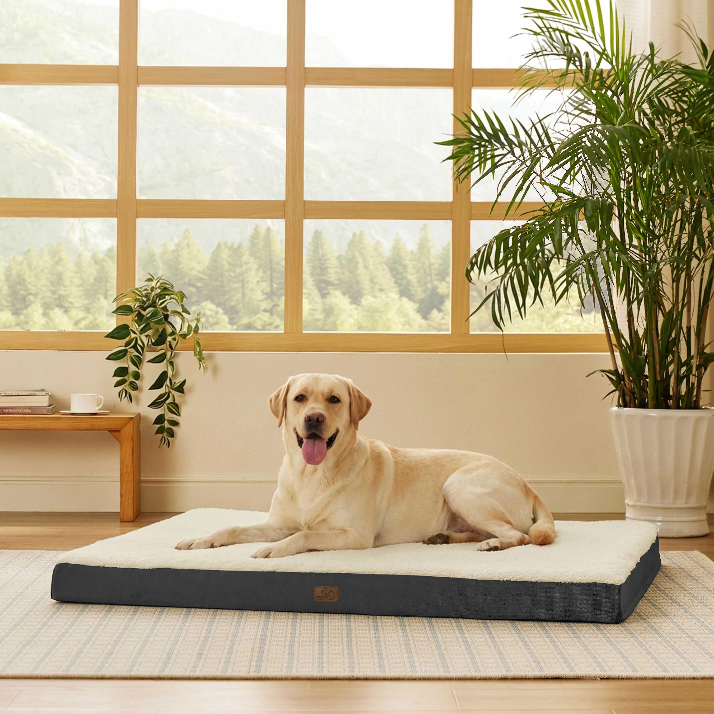 Bedsure Giant Dog Bed for Jumbo Dogs - 53" x 36" Flat Pet Beds with Removable Washable Cover, Orthopedic Egg Crate Foam Mat for Long-Bodied Pets Up to