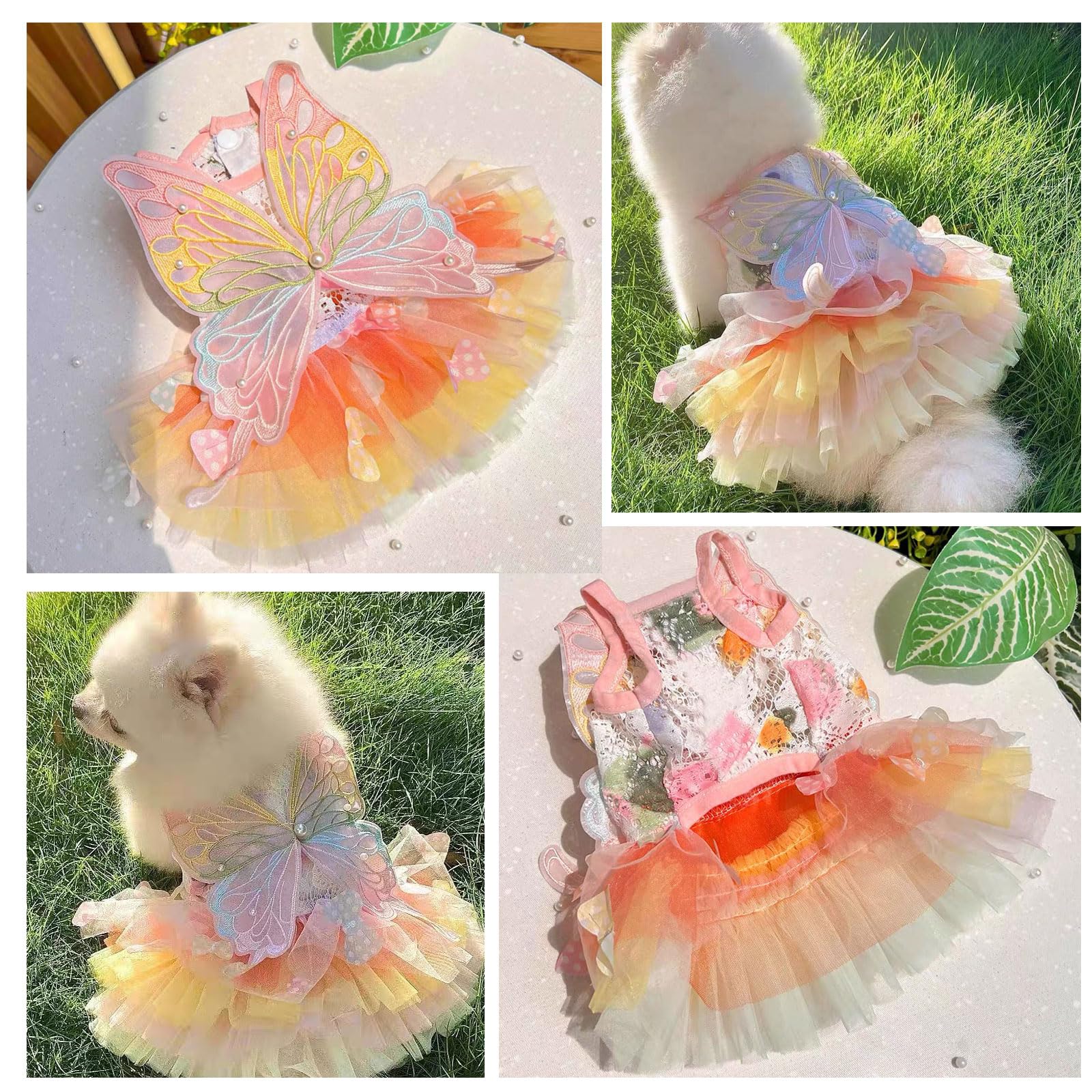 Robe de princesse papillon avec jupe tutu multicouche pour chiens de petite et moyenne taille, XXXL
