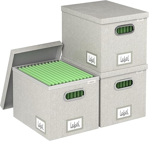 GRSQYS Caja organizadora de archivos para colgar archivos con tapa, juego de 3 carpetas decorativas colgantes con marco de plástico de una pieza