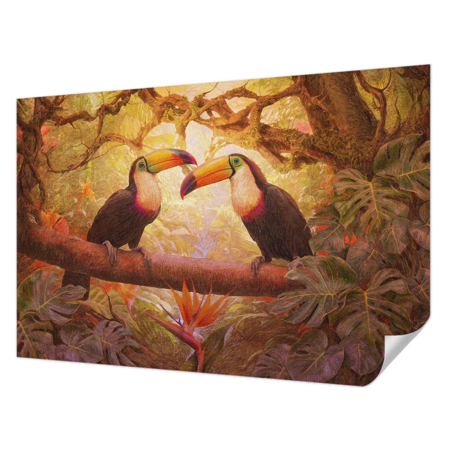 Papier peint photo autocollant 104x70 cm toucans colorés décoration