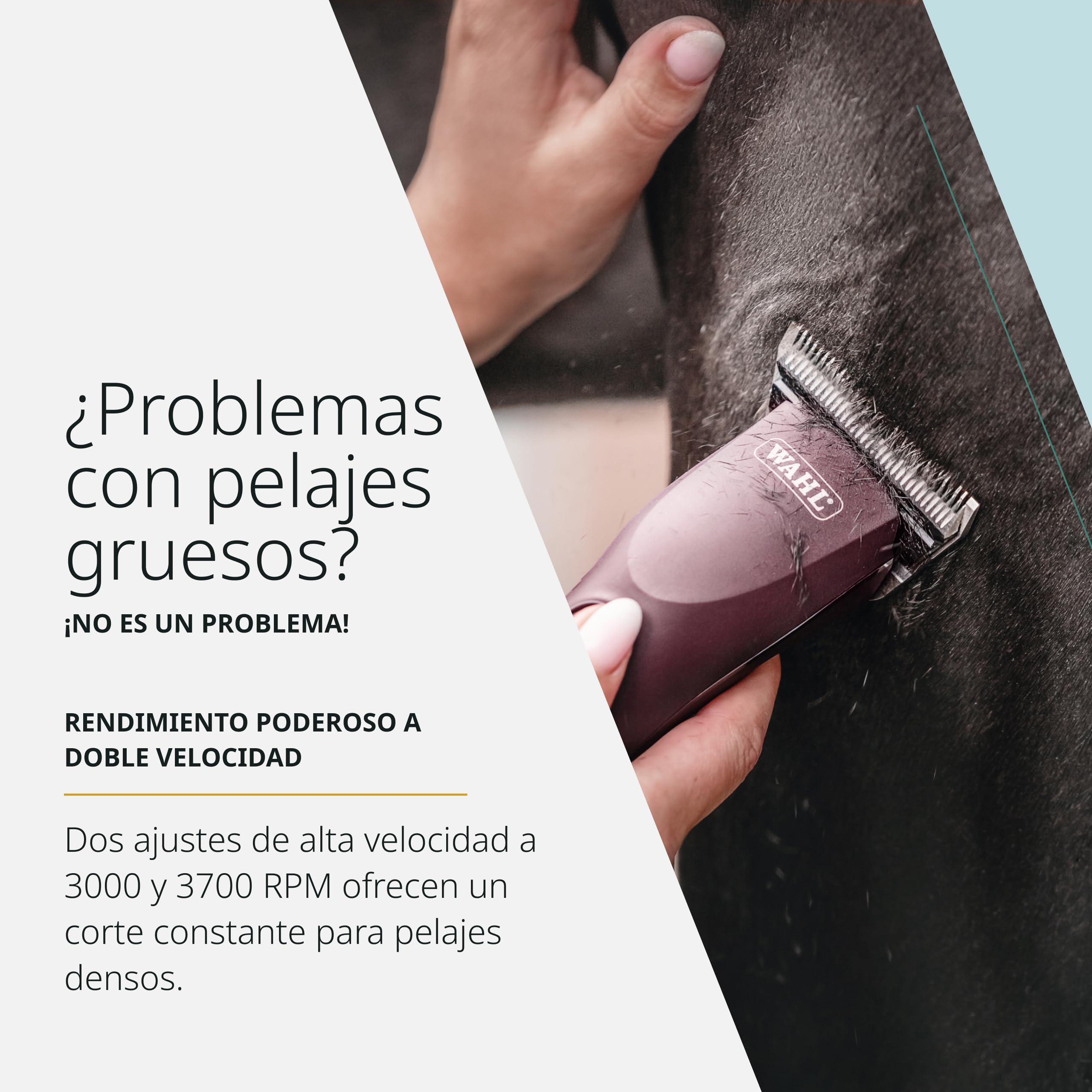 Wahl KM Supera, Cortapelos Inalámbrico para Caballos, Silencioso | Cortapelos Inalámbrico para Caballos, 2 Baterías Intercambiables, 3000 y 3700 RPM, Silencioso 68 dB, Cuchilla Ancha #10W