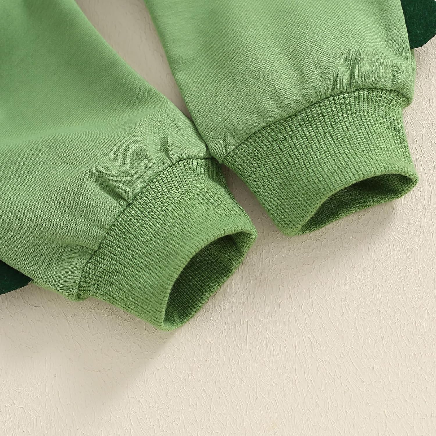 Toddler Baby Boy Dinosaur Outfit Long Sleeve Hoodie Sweatshirt Elastic Waist Pants Set Fall Winter Clothes - Image 6