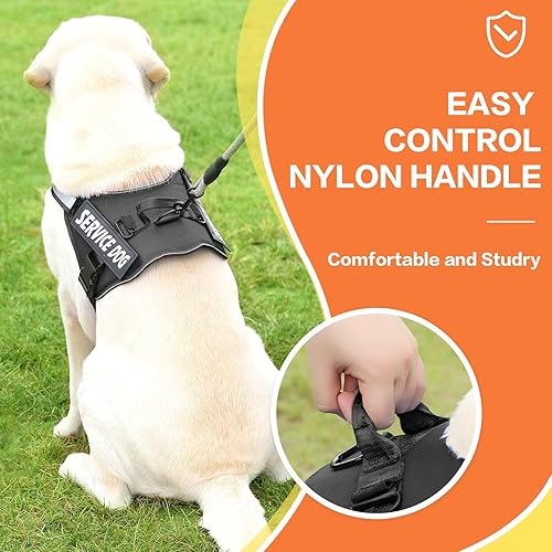 Miniatura 4 de MUMUPET Arnés para perro de servicio, chaleco reflectante sin tirones, arnés transpirable ajustable para mascotas con asa para caminar al aire