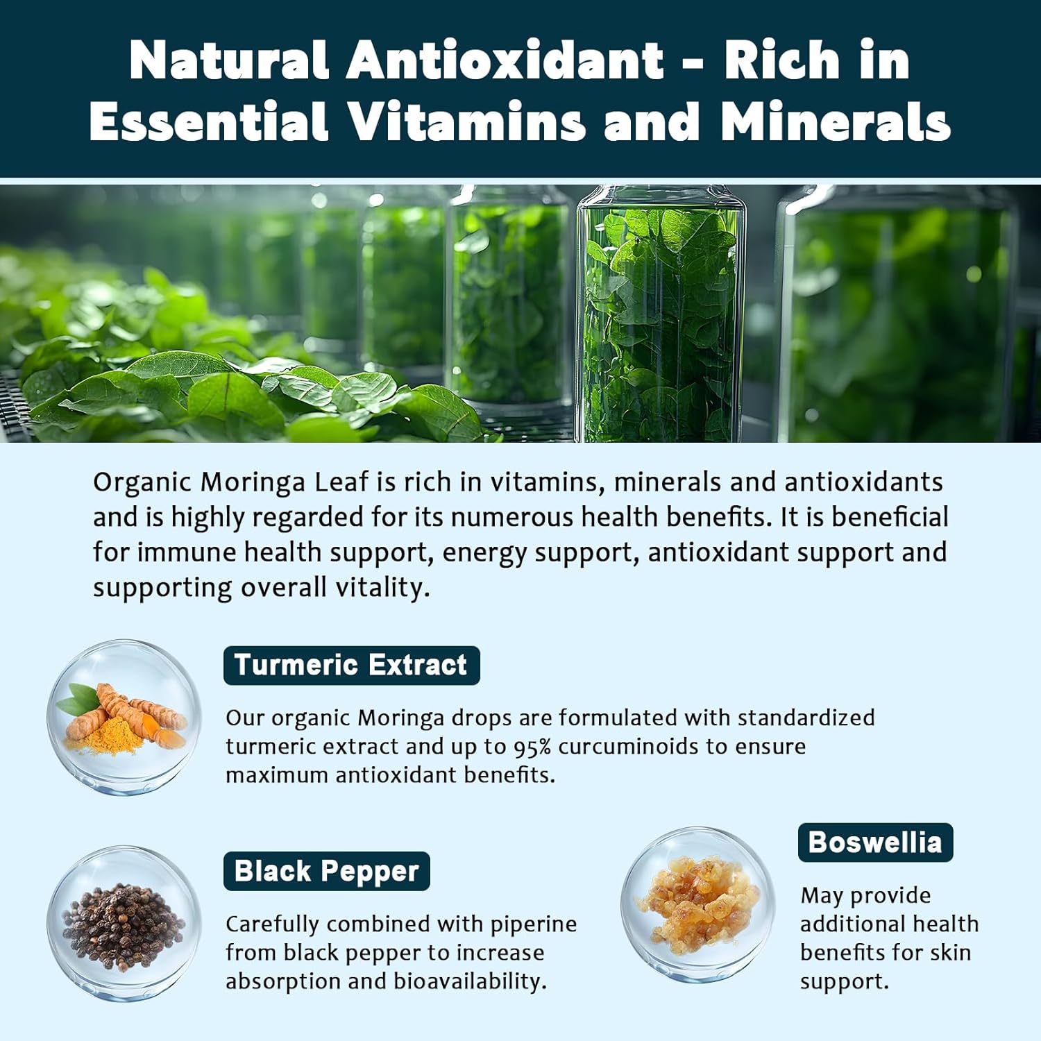 (4 Pack) Organic Moringa Leaf Extract Liquid Drops for Women and Men - Energy, Antioxidant, Skin, Immune Support, Pure Moringa Leaf Extract with Turmeric, Boswellia, Vegan, Sugar-Free, 1 Fl Oz