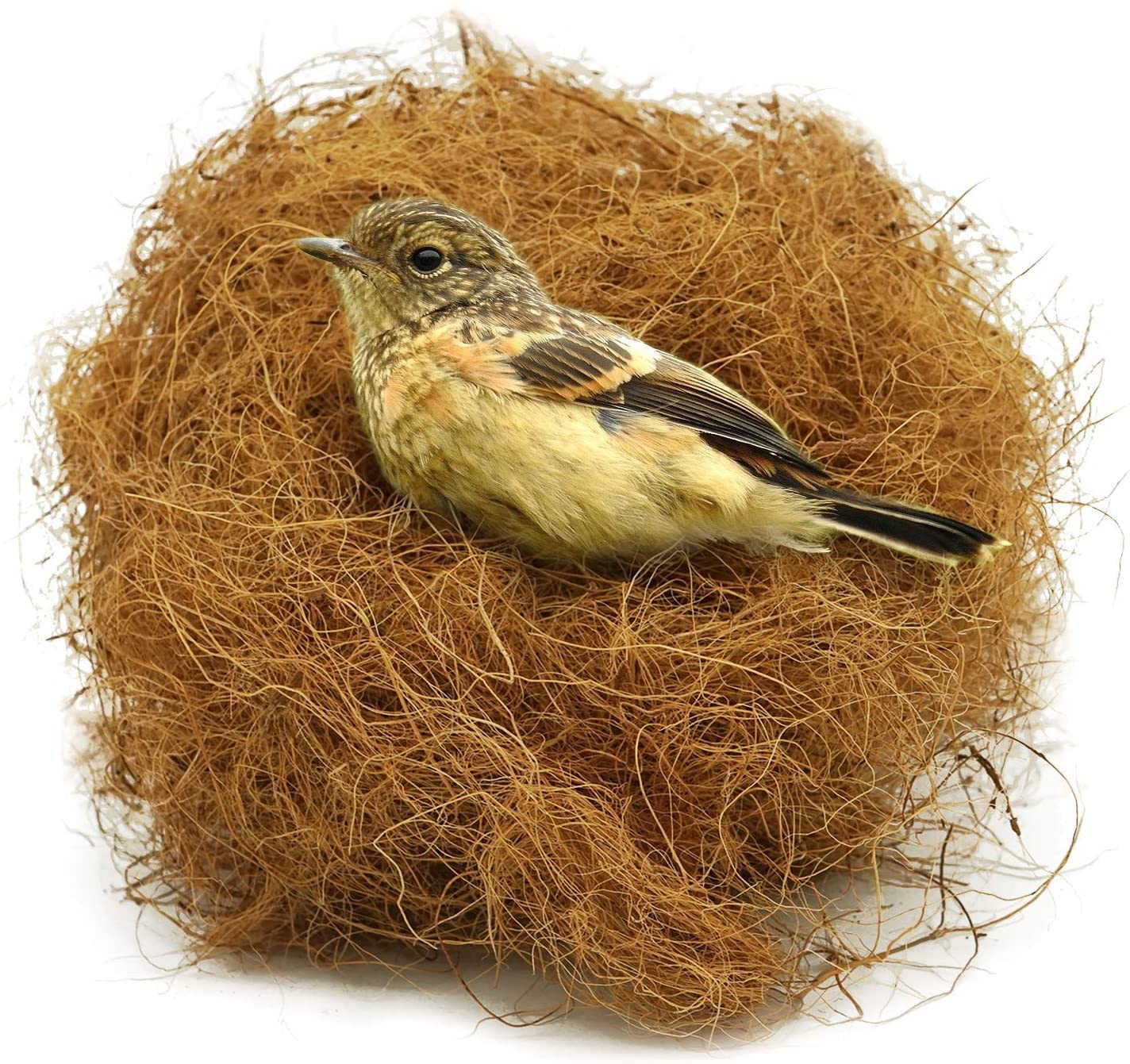 ONELINK MALL Natural Coconut Fiber Nesting Material/Bright Adult Coco Fiber Nesting Material for Birds for Making Nest, Laying Eggs Breeding As Natural Nest (Brown, 100 gm) 3