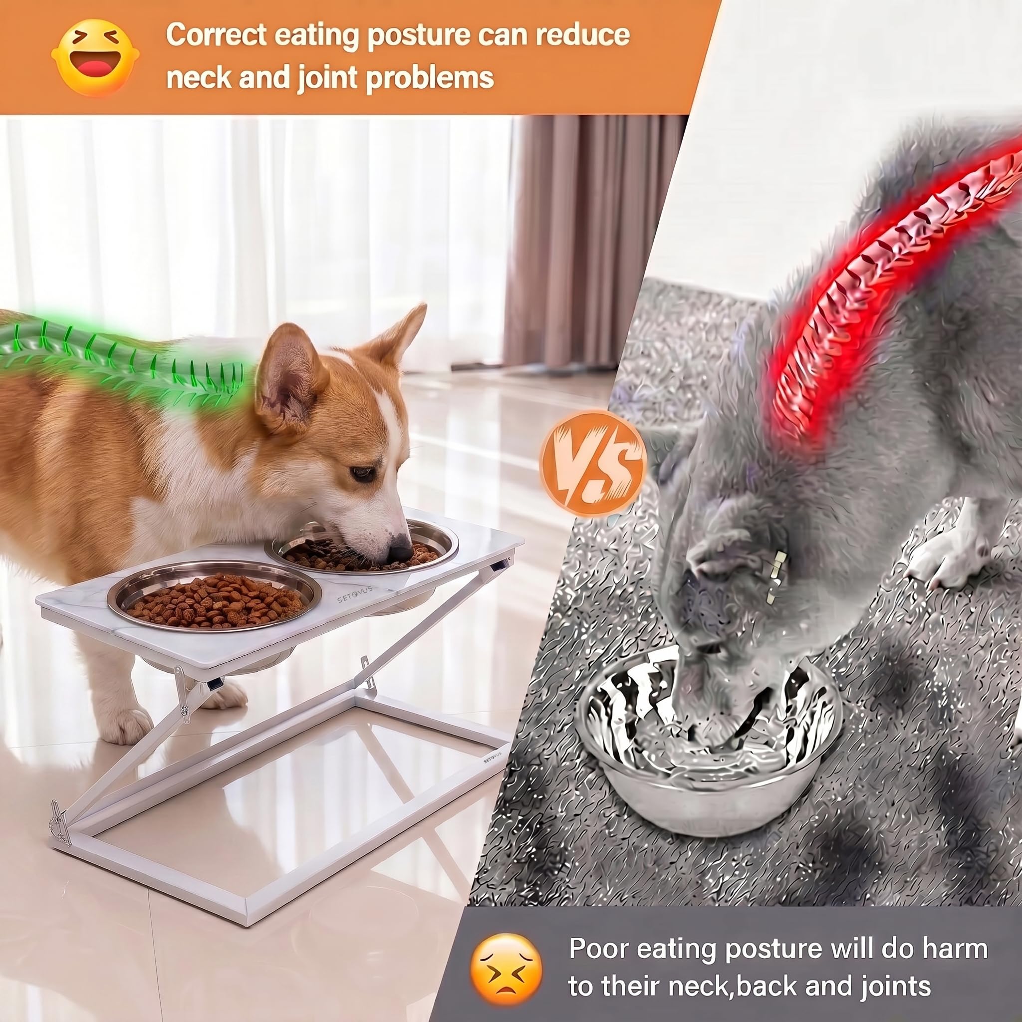Erhöhter Hundenapf, verstellbarer erhöhter Hundenapfständer mit 2 Edelstahl-Futternäpfen, 20° geneigte Wassernäpfe für kleine Hunde und Katzen (Kunstmarmor (weiß), Größe S