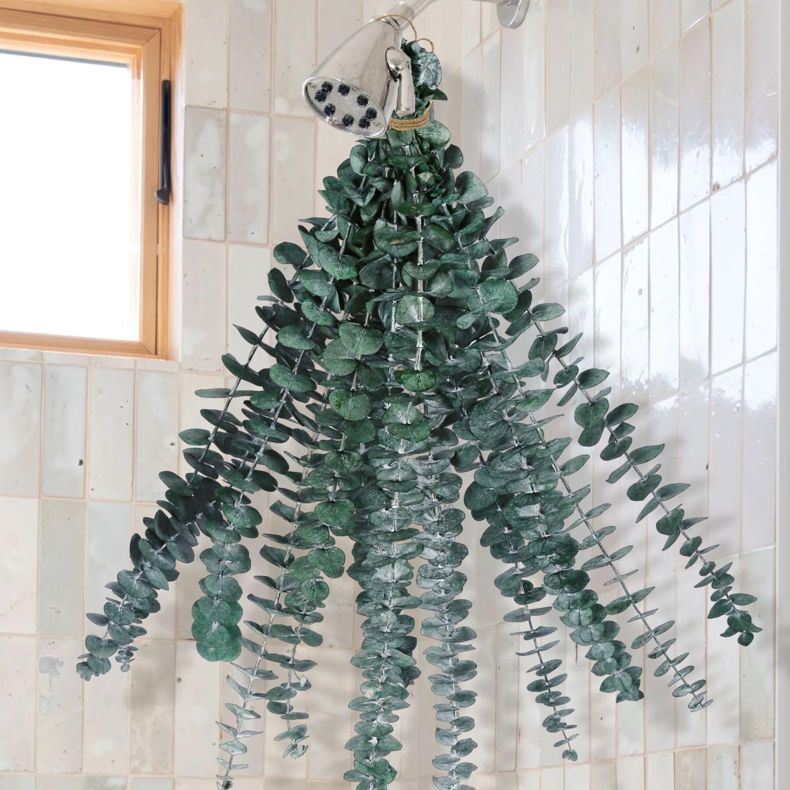 Dried Eucalyptus Stems for Shower - 8 Pcs 17" Real Large Preserved Eucalyptus Shower Plant, Fresh Eucalyptus Branches Leaves Greenery Hanging, Flowers Arrangement, Wedding, Home Spa, Vase Filler