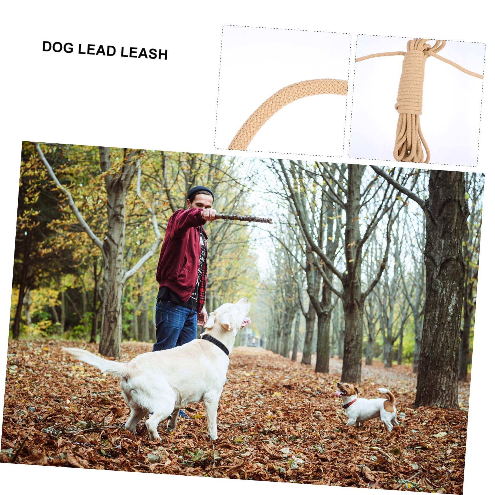 Guinzaglio per Cani lungo Addestramento Outdoor, 10 M | Gancio, Polipropilene Khaki, Resistente ai Morsi e Ammortizzante, per Corsa e Camminata