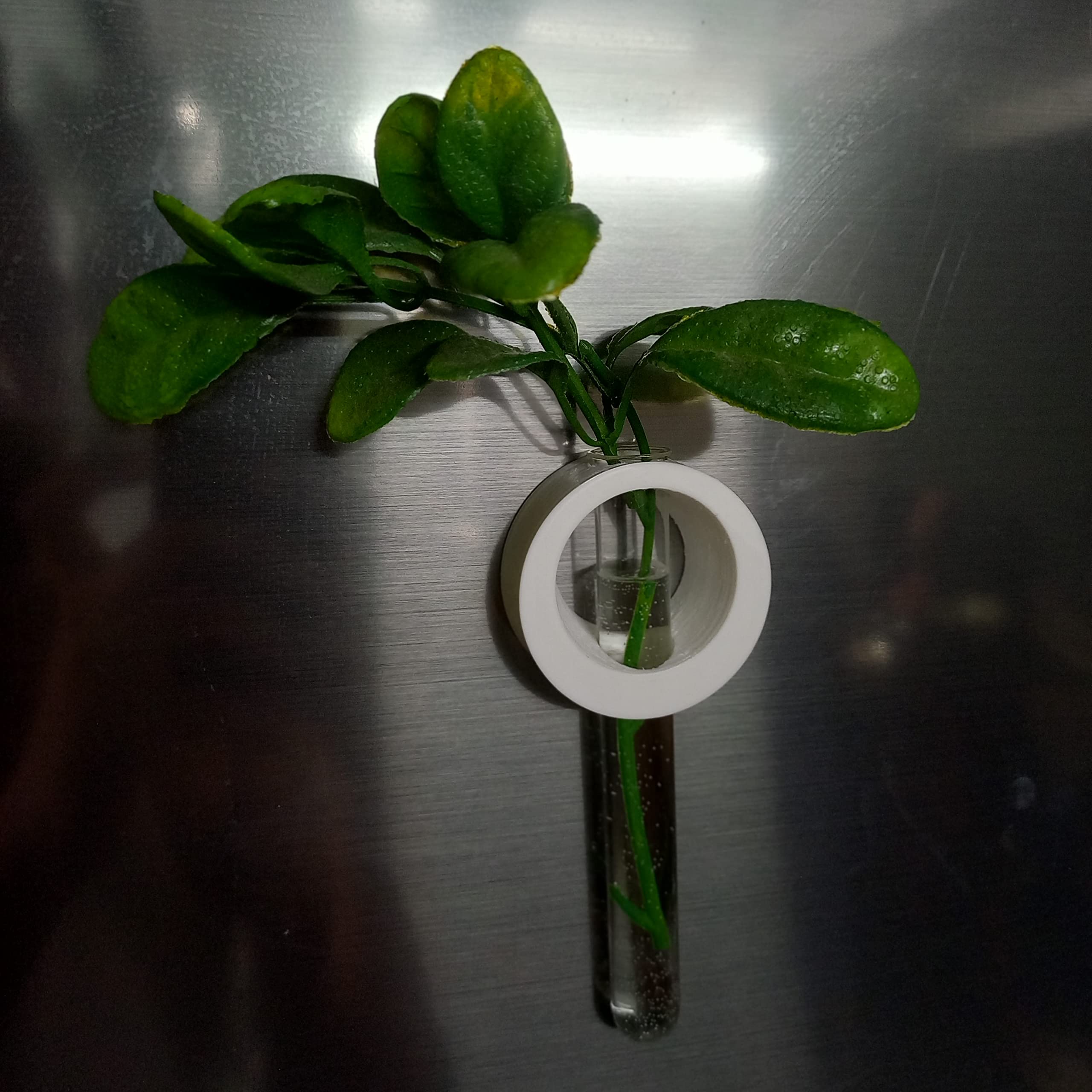Surji Magnetic Testube planters for Refrigerator, Home Decor Set of 1 (B0BHDBH7CD) Amazon Price History, Amazon Price Tracker