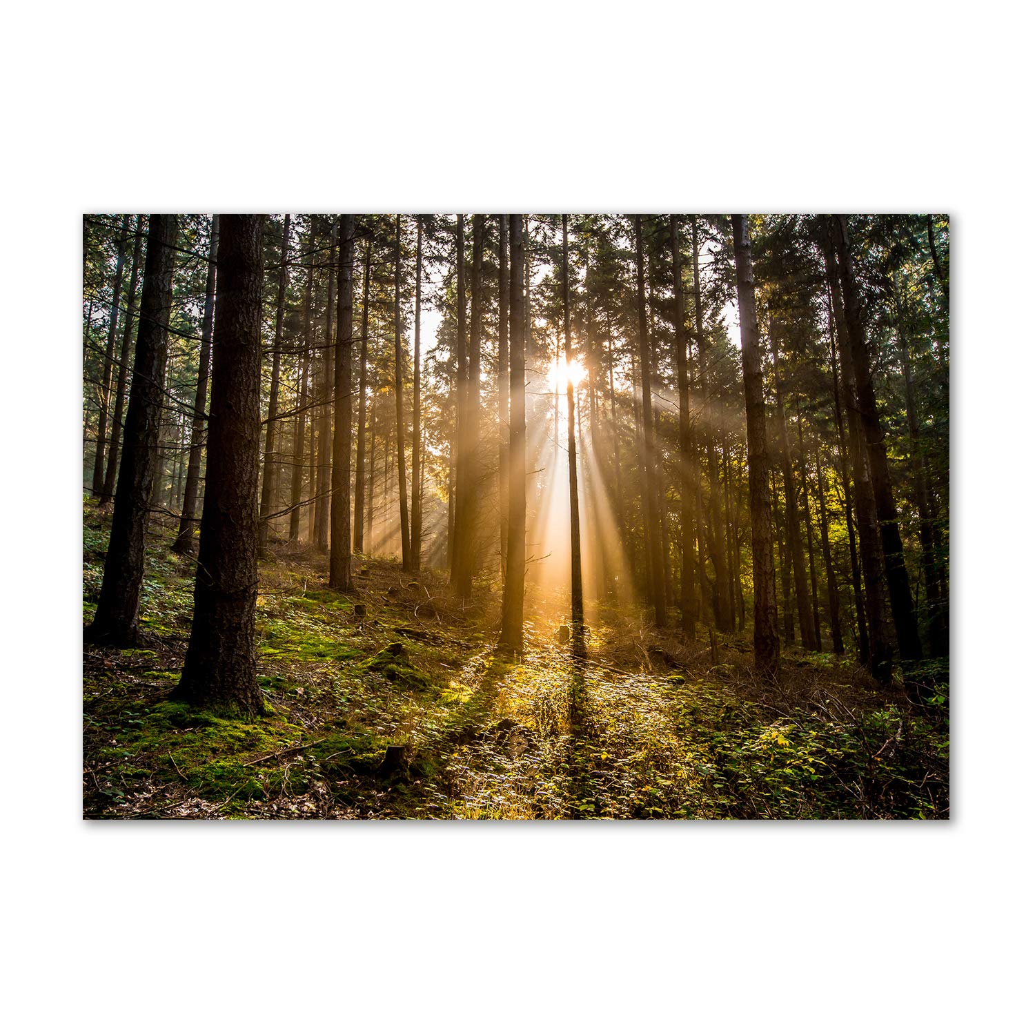Image verre plastique marron Tulup pour illuminer votre chambre avec un effet lumière solaire