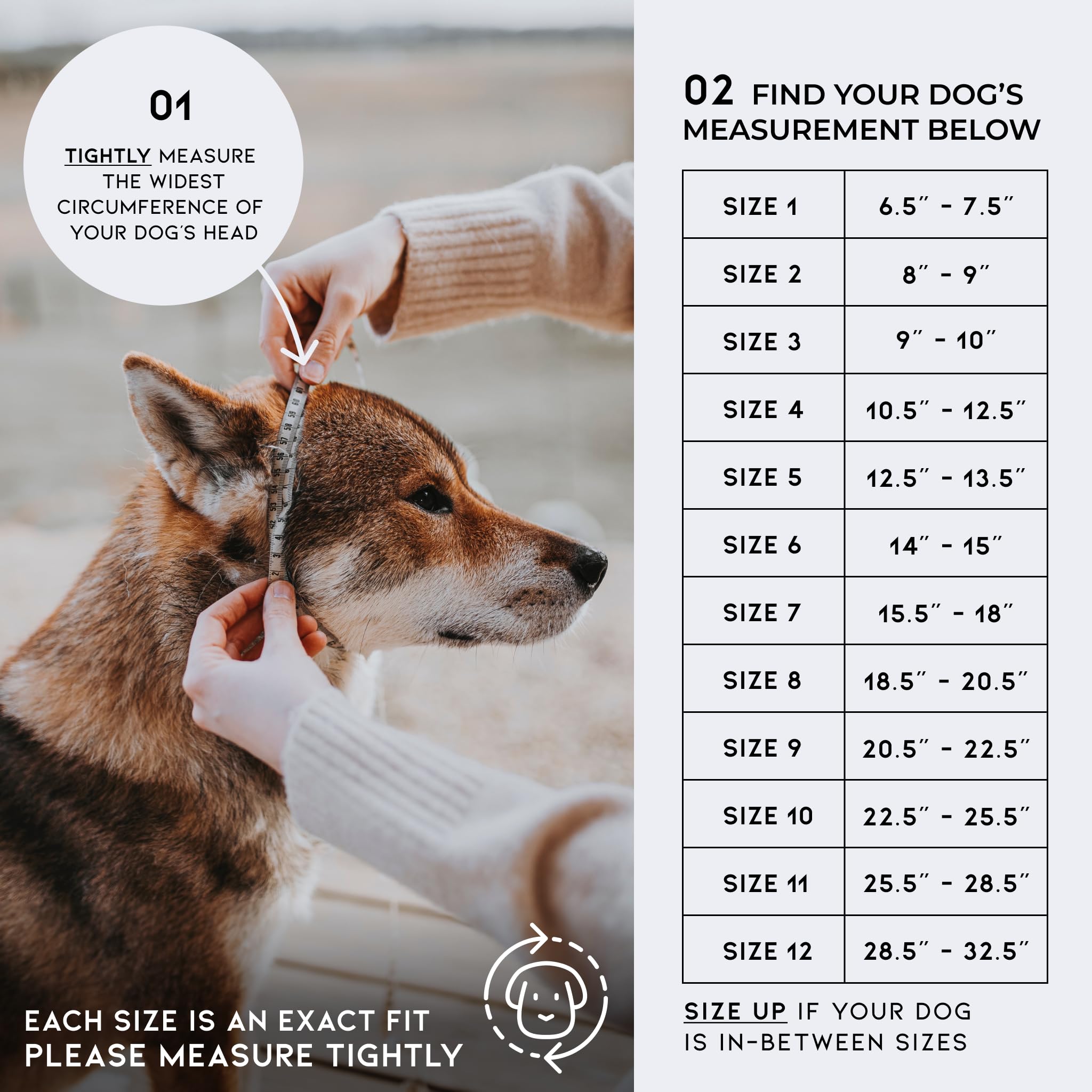 How to Measure No Pull Dog Collar Size: Easy Steps for Perfect Fit