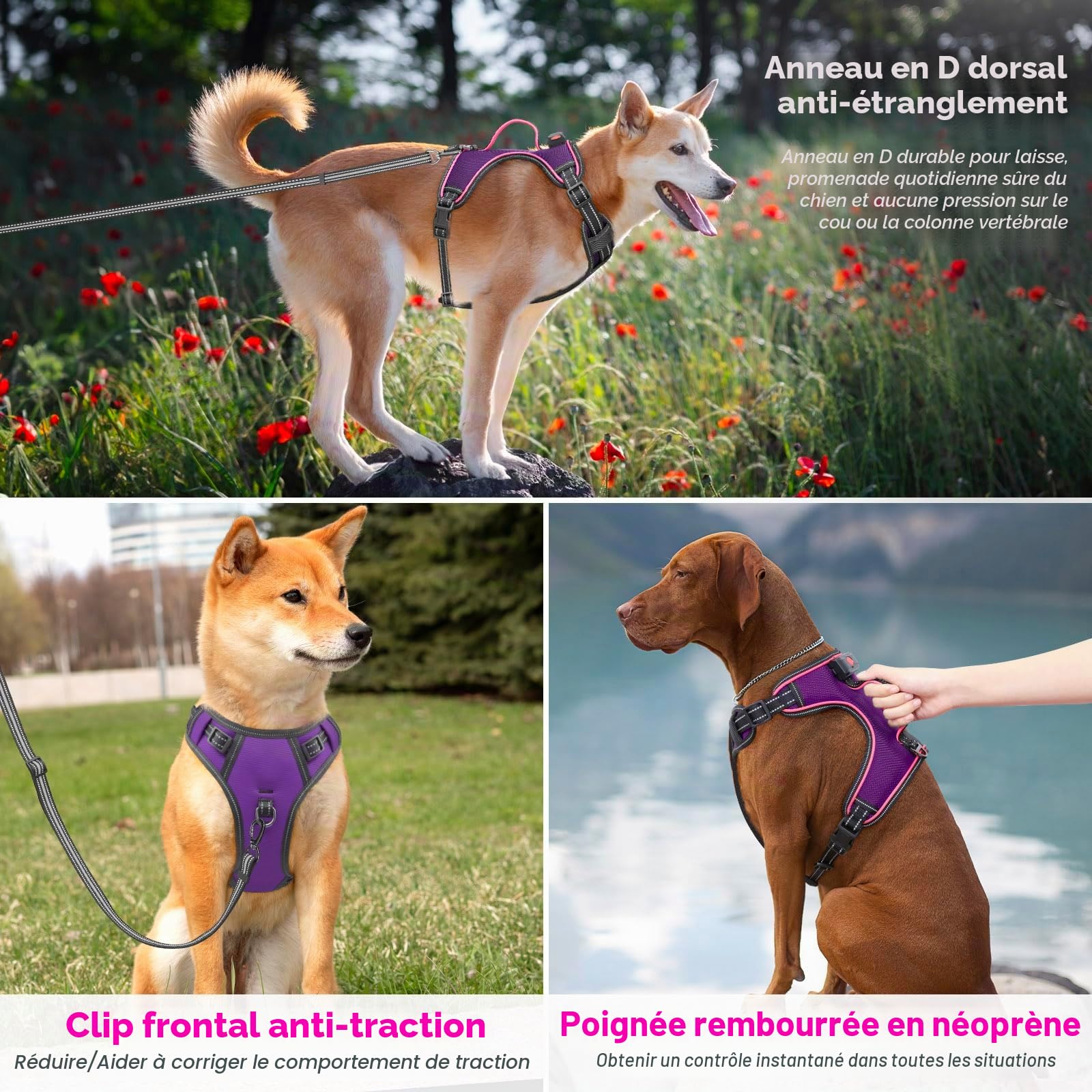 Harnais lumineux anti-traction pour chien avec poignée à DEL (taille L, violet)
