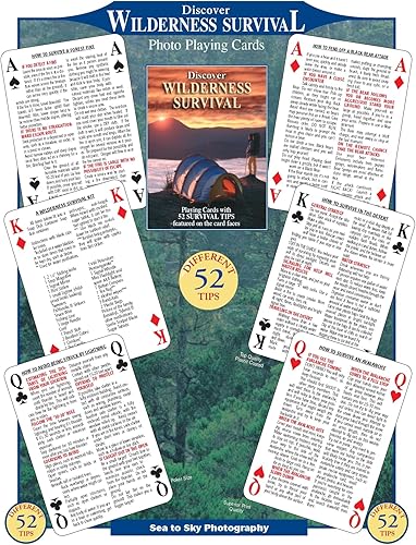 SEA y SKY descubren las cartas de supervivencia en el desierto