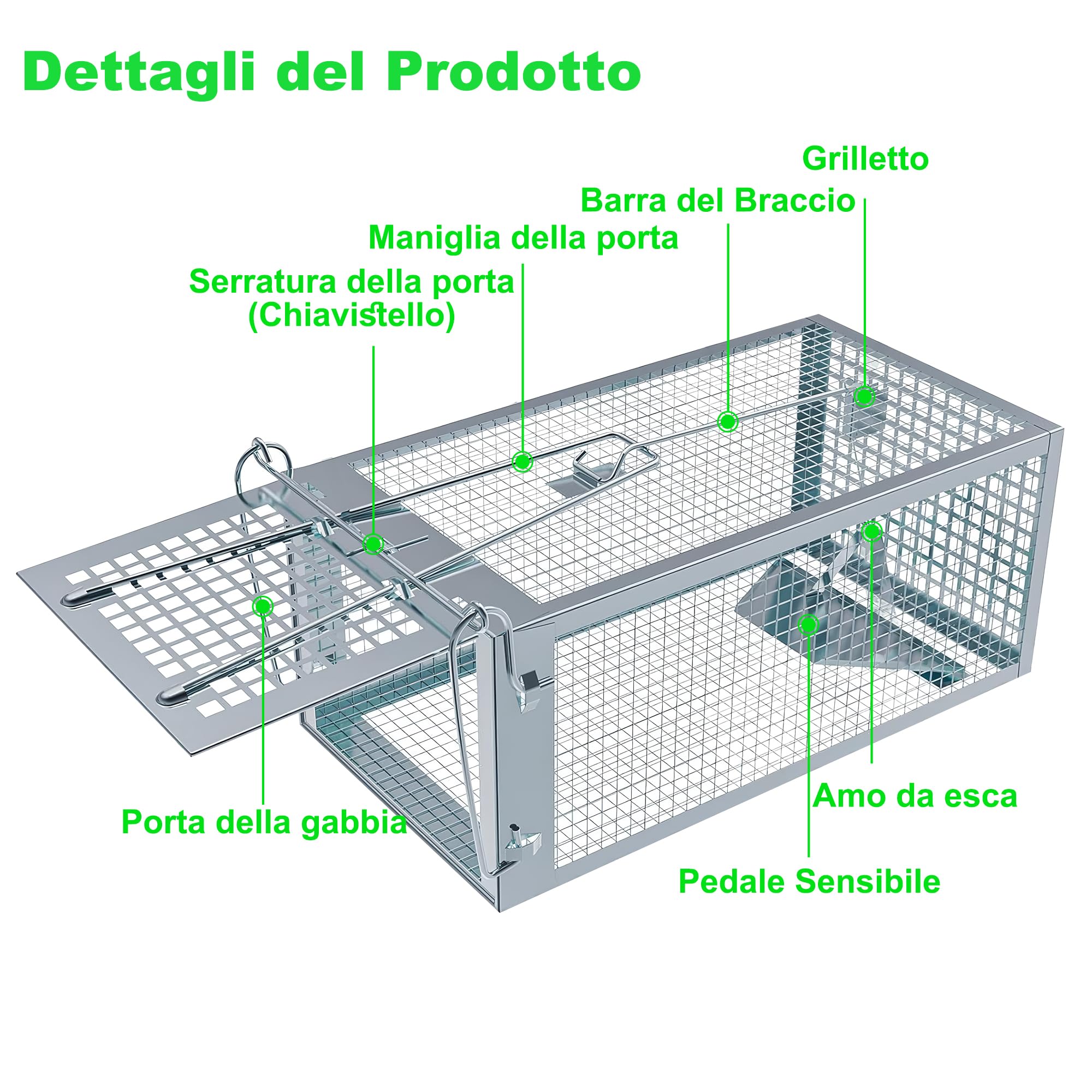 Trappola per Topi Vivi, 2 x Grande XL Gabbie Trappola per Interno e Esterno - Senza Uccidere e Riutilizzabile - Pronta all'Uso - Per Ratti e Piccoli Roditori - 27 cm x 14 cm x 12 cm