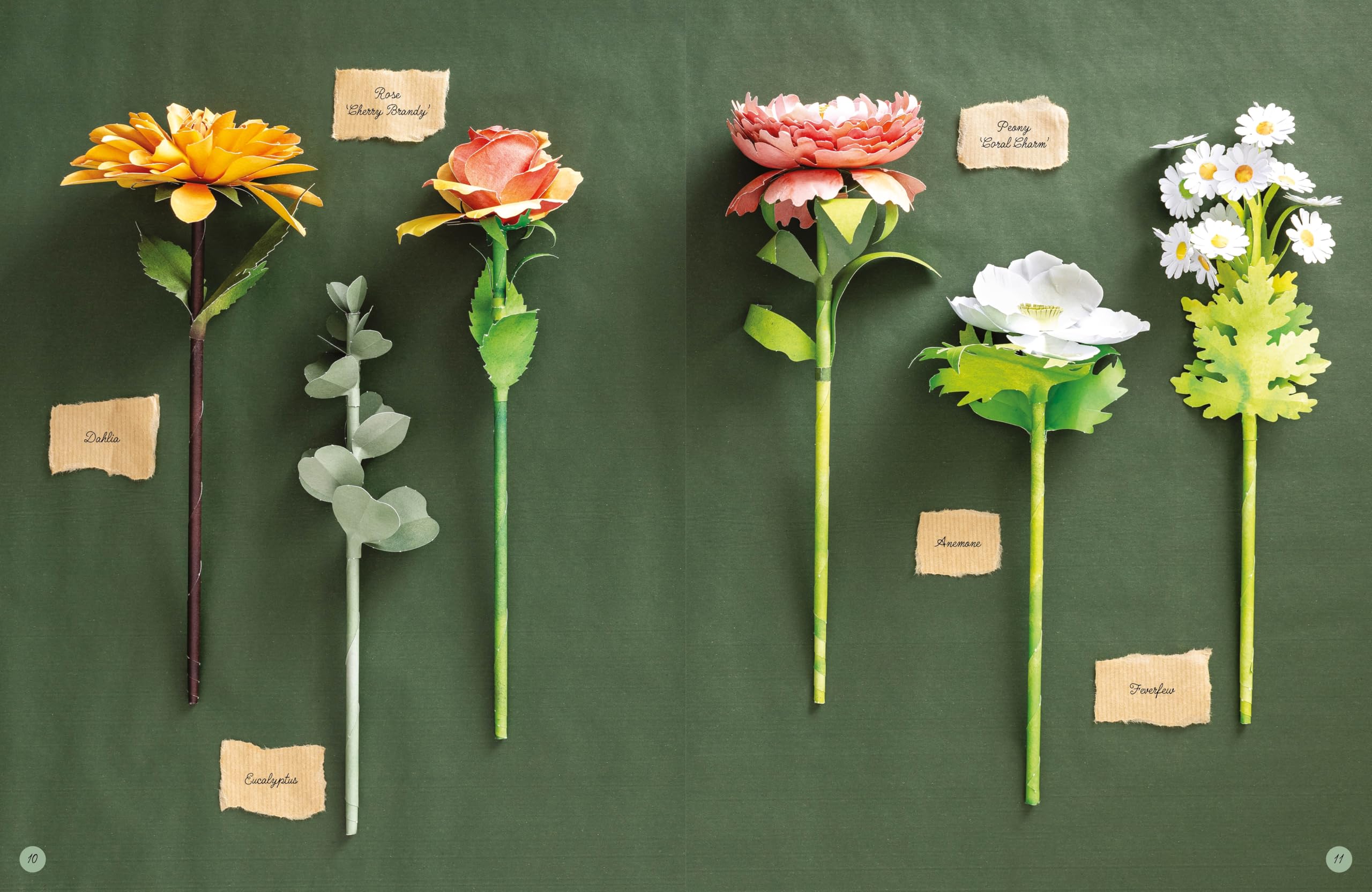 The Bouquet in a Book: Pre-punched pages to press out and make paper flowers: 1