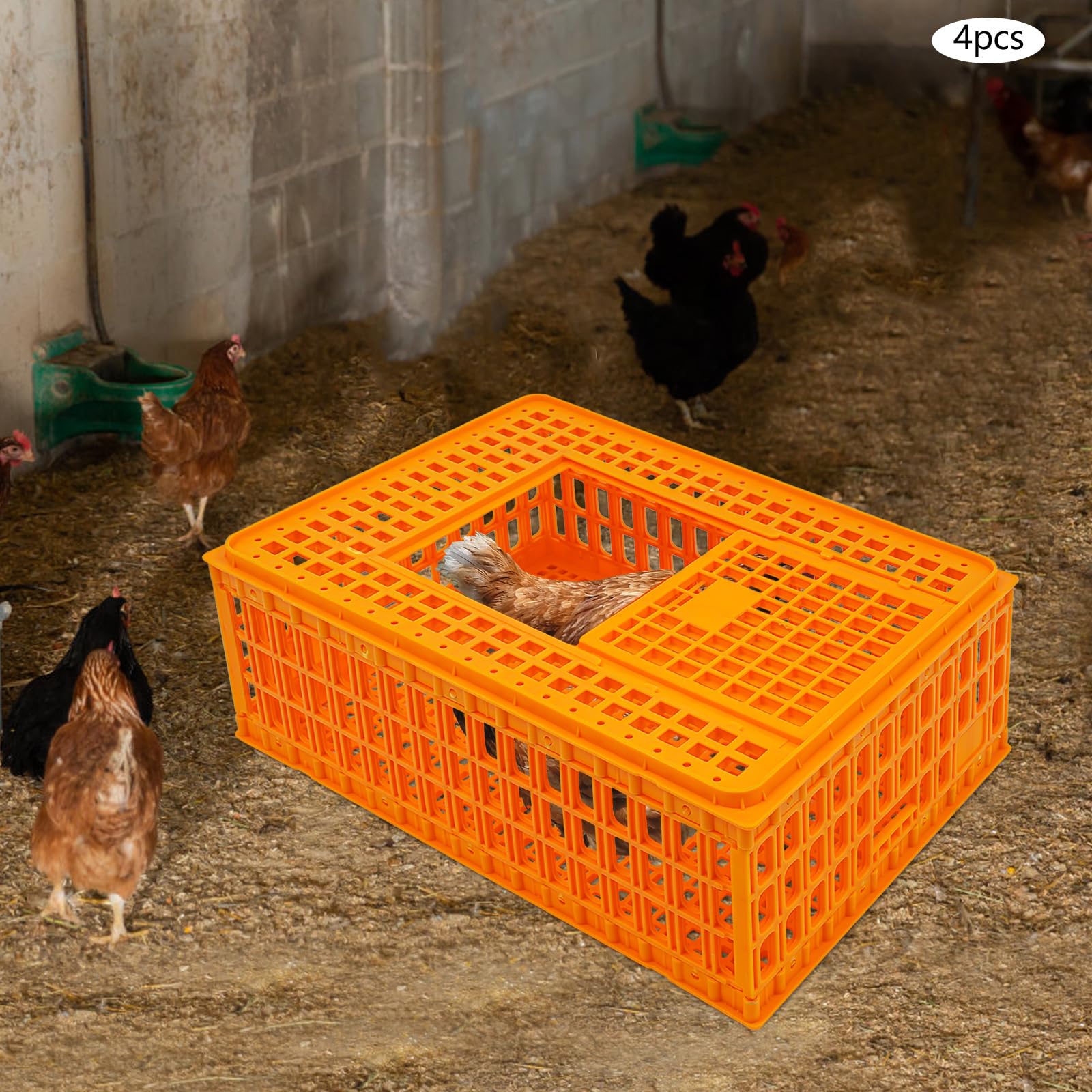 Gabbia Trasporto Pollame in Plastica 4 Pezzi Impilabile, Trasportino per Polli Anatre e Conigli con Porta Scorrevole, Struttura Rinforzata Carico 200 kg, Gabbia per Animali da Cortile 77x55x27 cm