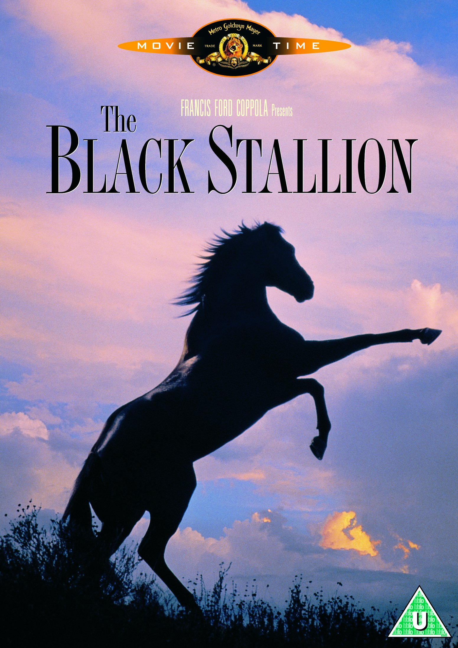the black stallion dvd Italian Import [DVD]