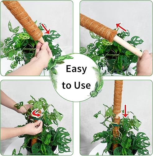 Miniatura 7 de JJGoo Poste de musgo para plantas Monstera, paquete de 2 postes de soporte de plantas de 23.6 pulgadas, poste de tótem de coco extensible para