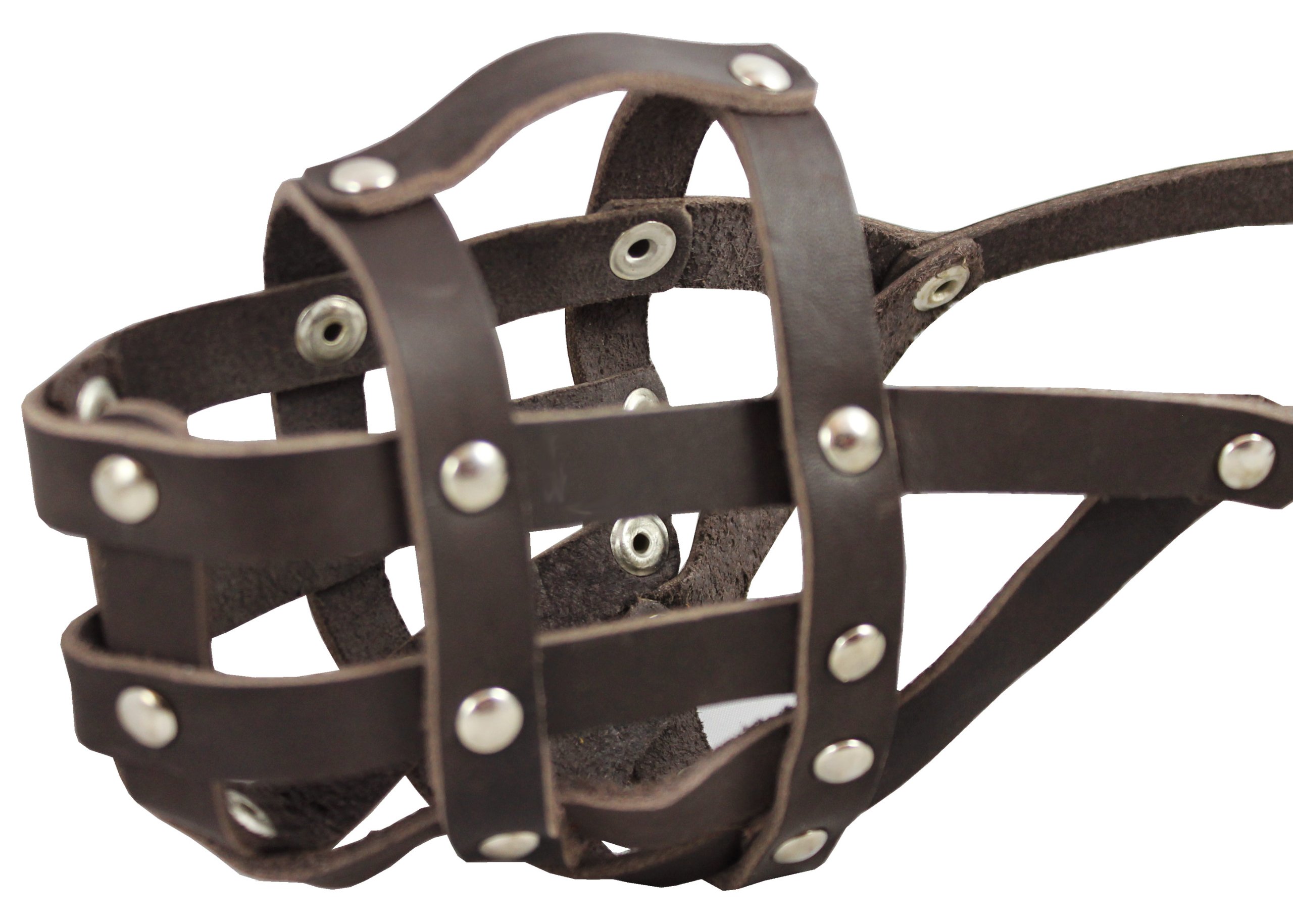 Bozal de canasta para paseos urbanos con American Staffordshire Terrier
