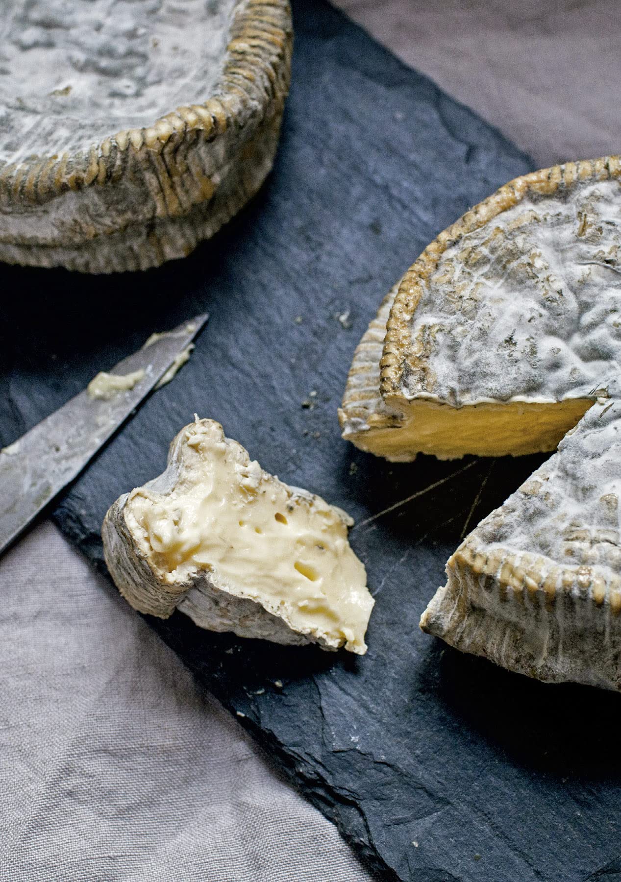 El arte de hacer queso (Los ilustrados)