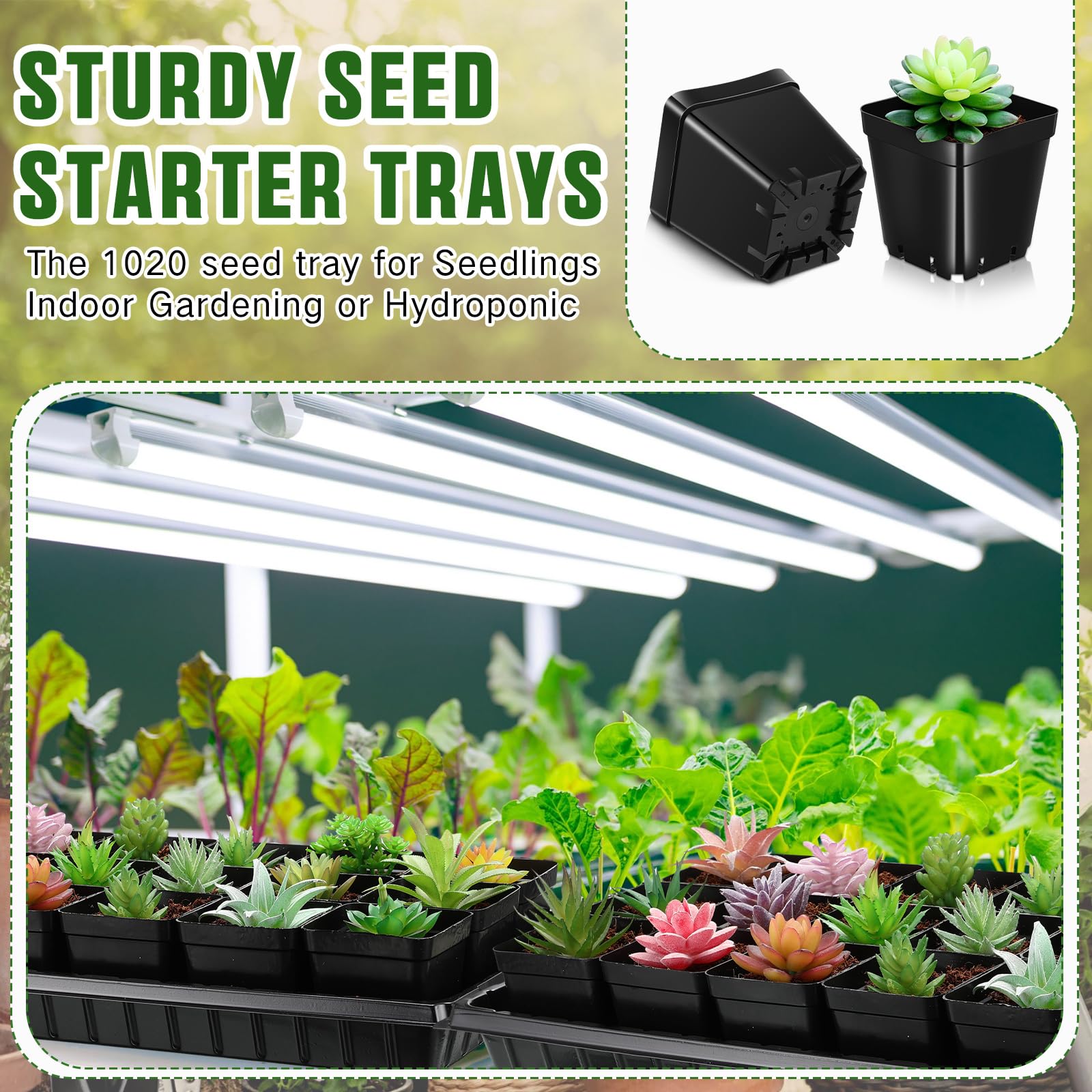 Barydat Set di 6 vassoi per sementi con 108 vasi quadrati per vivaio, 50 x 25 cm, vassoi per la coltivazione di piante per microgreens, grandi vassoi quadrati per piantine, giardinaggio indoor o
