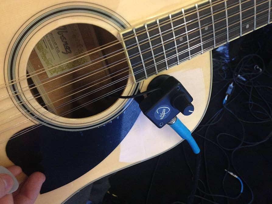 myers pickup アコースティック楽器　マイク Amazon.com: Acoustic Guitar Pickup with Flexible Micro