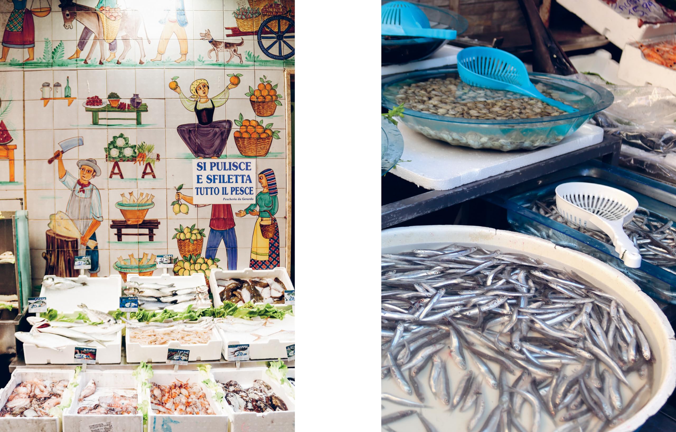 Italian coastal: recipes and stories from where the land meets the sea