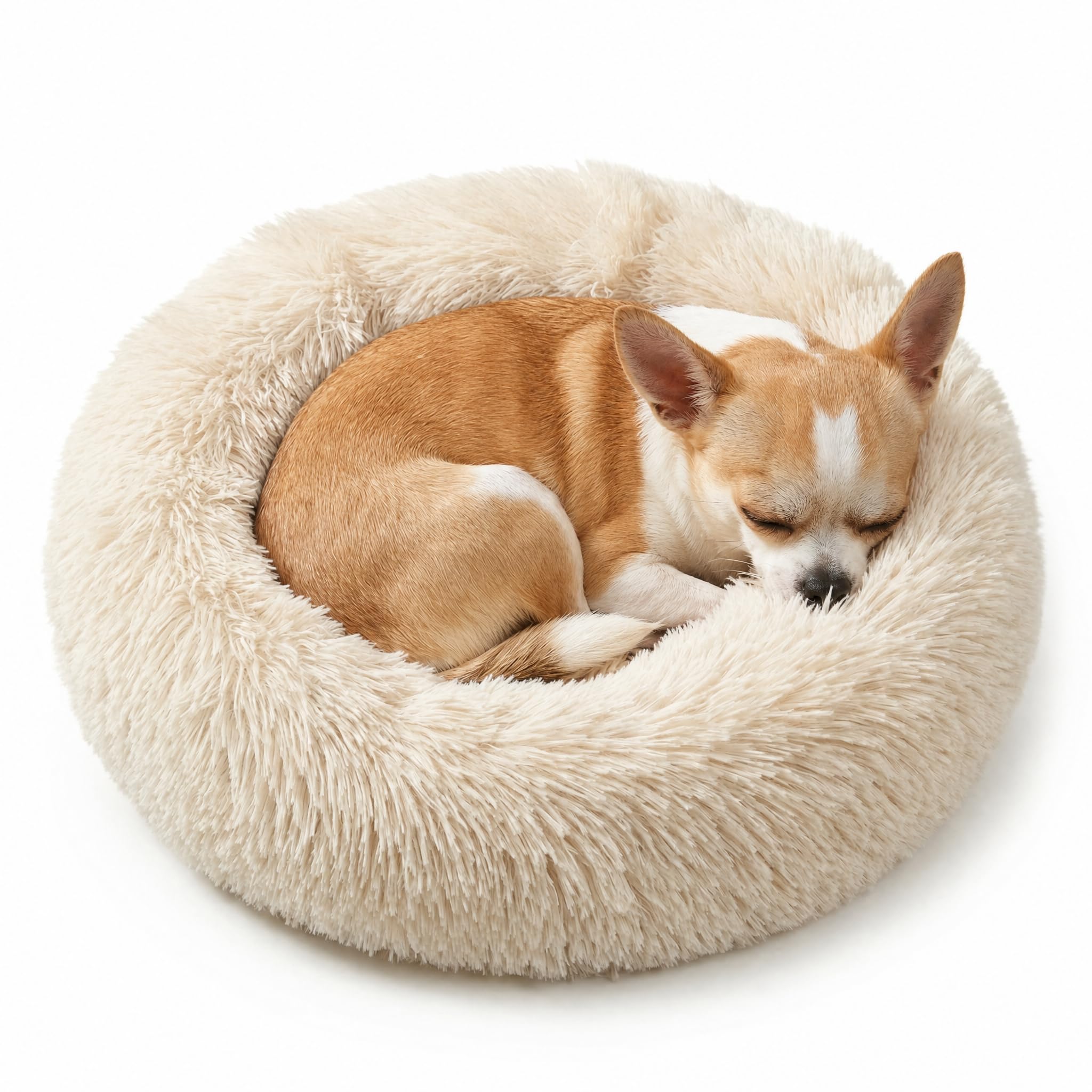 Amazon.com : Tiny Dog Bed 15 Inch for Extra Small Dogs,Washable