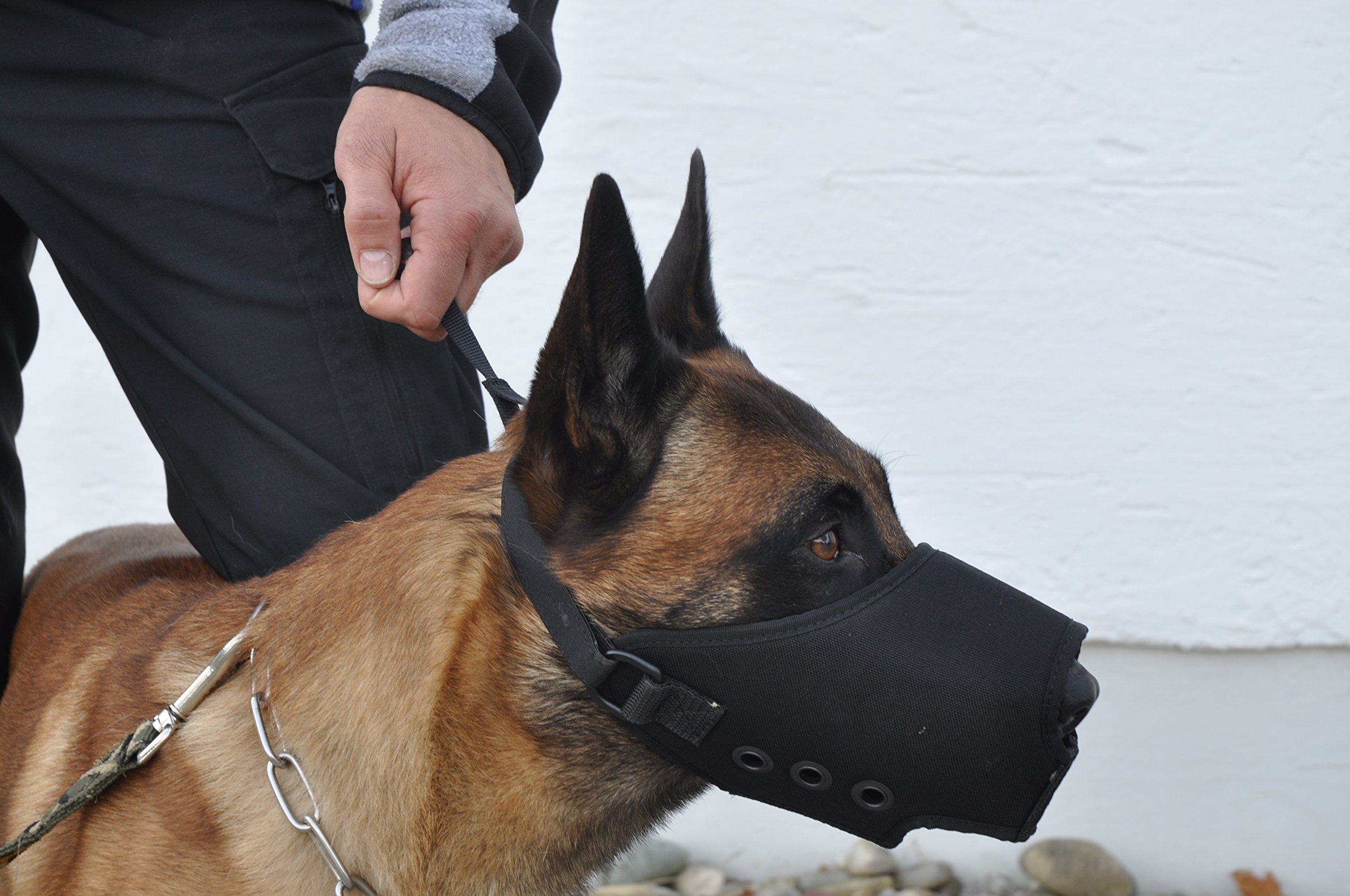 COP® K9 Beisskorb Quick Release (schnell abnehmbar), Cordura® / schwarz, Gr. L
