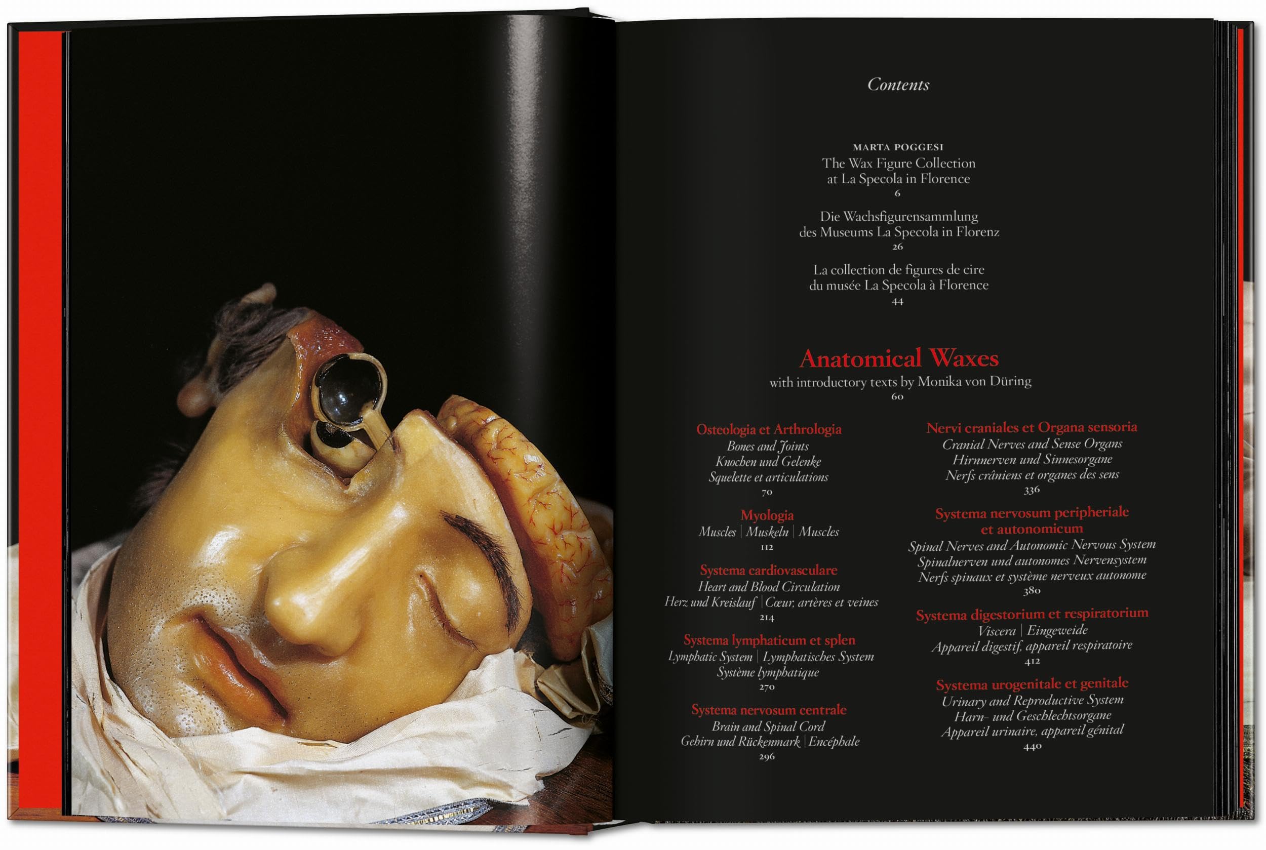 Anatomical Waxes. 45th Ed. (45th Edition)