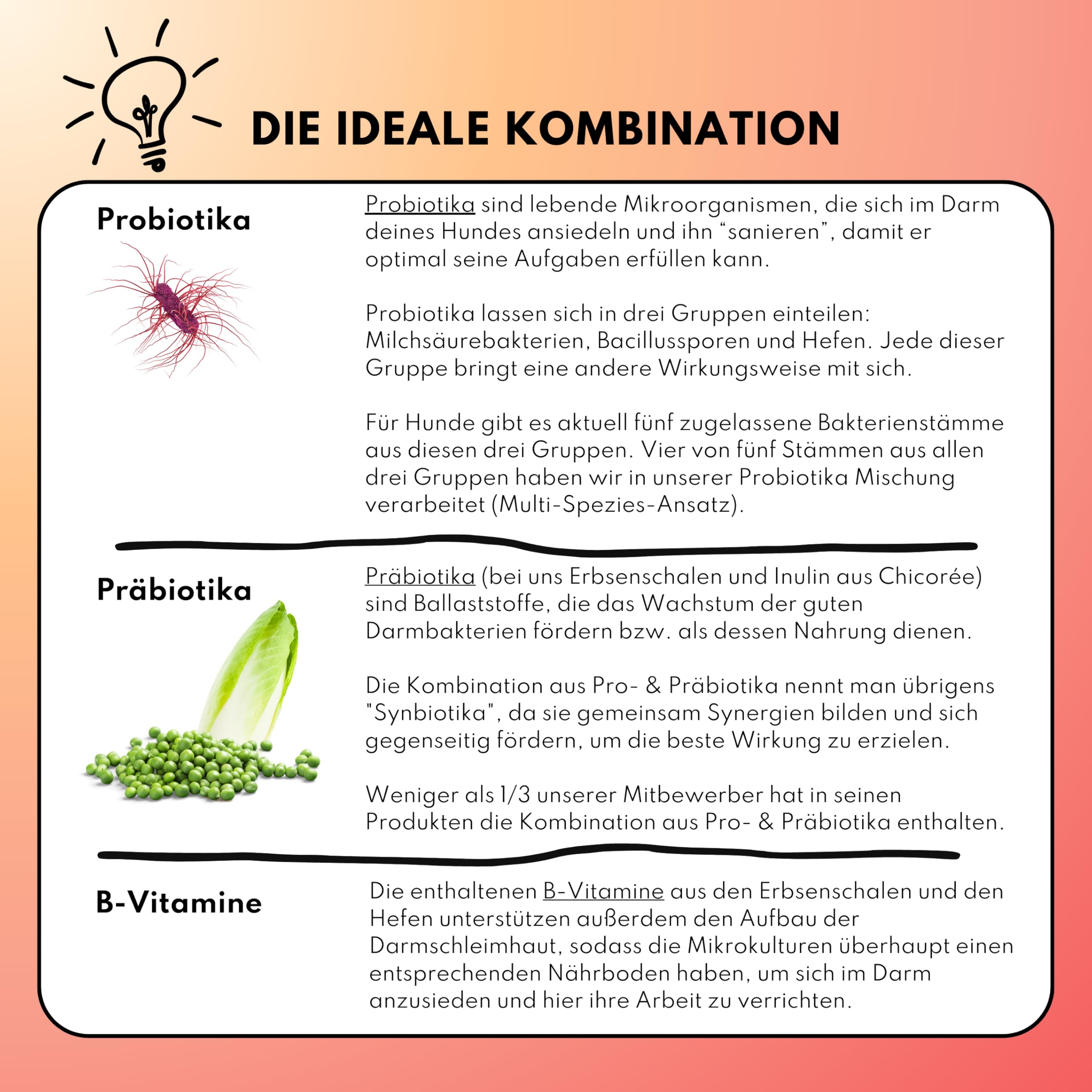 people who kaer Probiotiques Complexe Drops pour chiens, 60 comprimés – Construire la flore intestinale du chien, bactéries intestinales pour chiens, assainissement intestinal des chiens, compléments