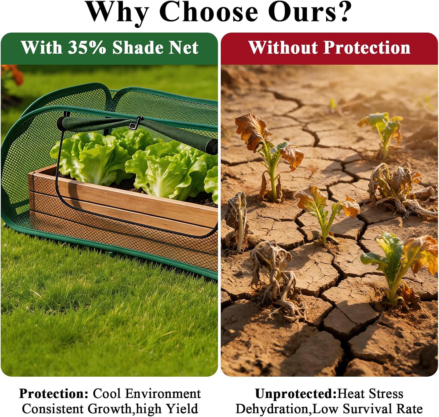 2 Pack Garden Covers for Raised Beds, Pop Up Mesh Plant Covers for Outdoors image 4