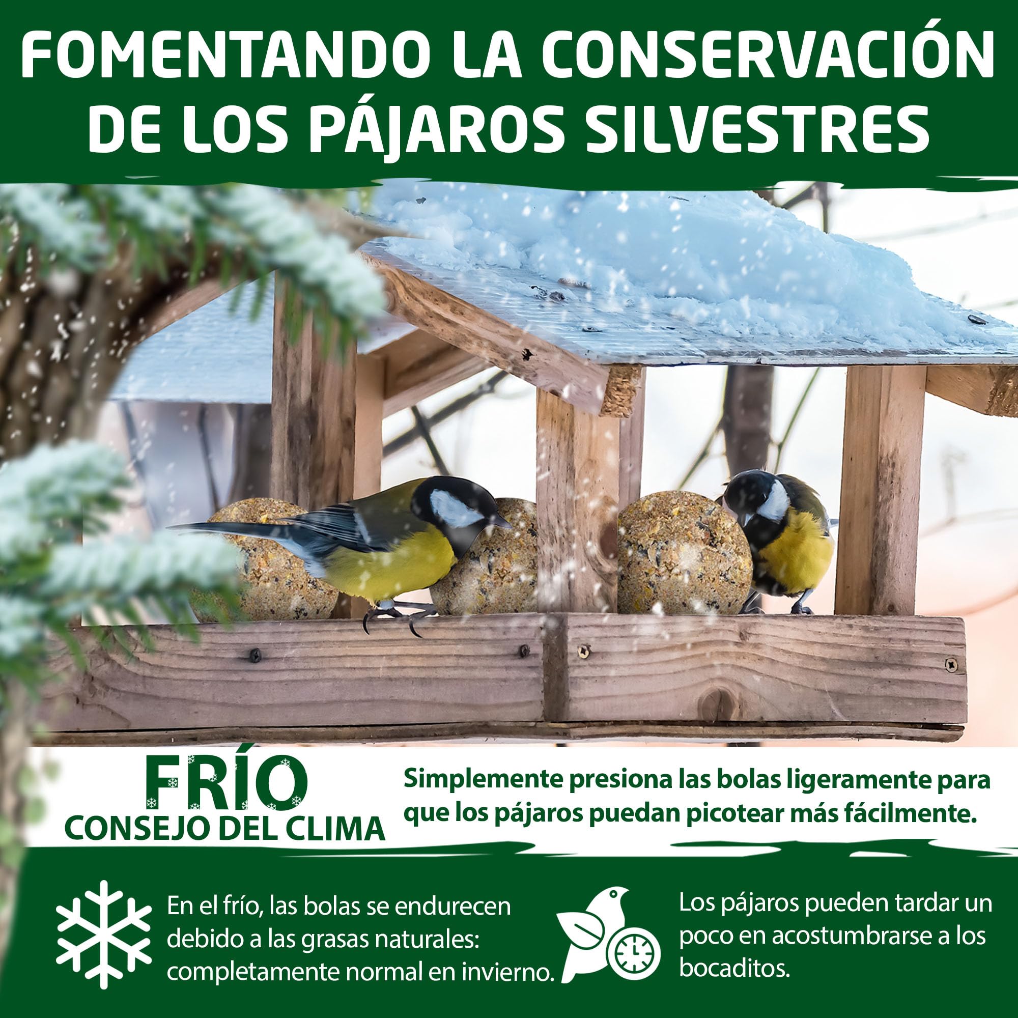 Eggersmann volaris 200 Piezas de proteínas de Bolas de Grasa sin Red 18 kg | Bola de Cereales para Aves Silvestres | Alimento Rico en nutrientes para Todas Las Especies de Aves Durante Todo el año
