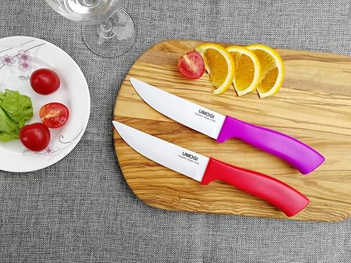 Miniatura 5 de Juego de 4 cuchillos de cerámica para carne con fundas en caja de regalo, cuchillo utilitario de gran tamaño, saludable, resistente a las manchas y