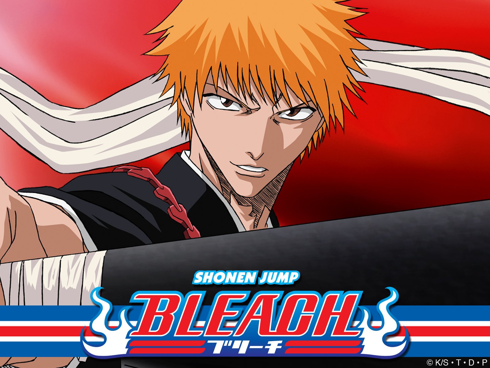 Bleach: (English Dubbed) The Entry Season 2