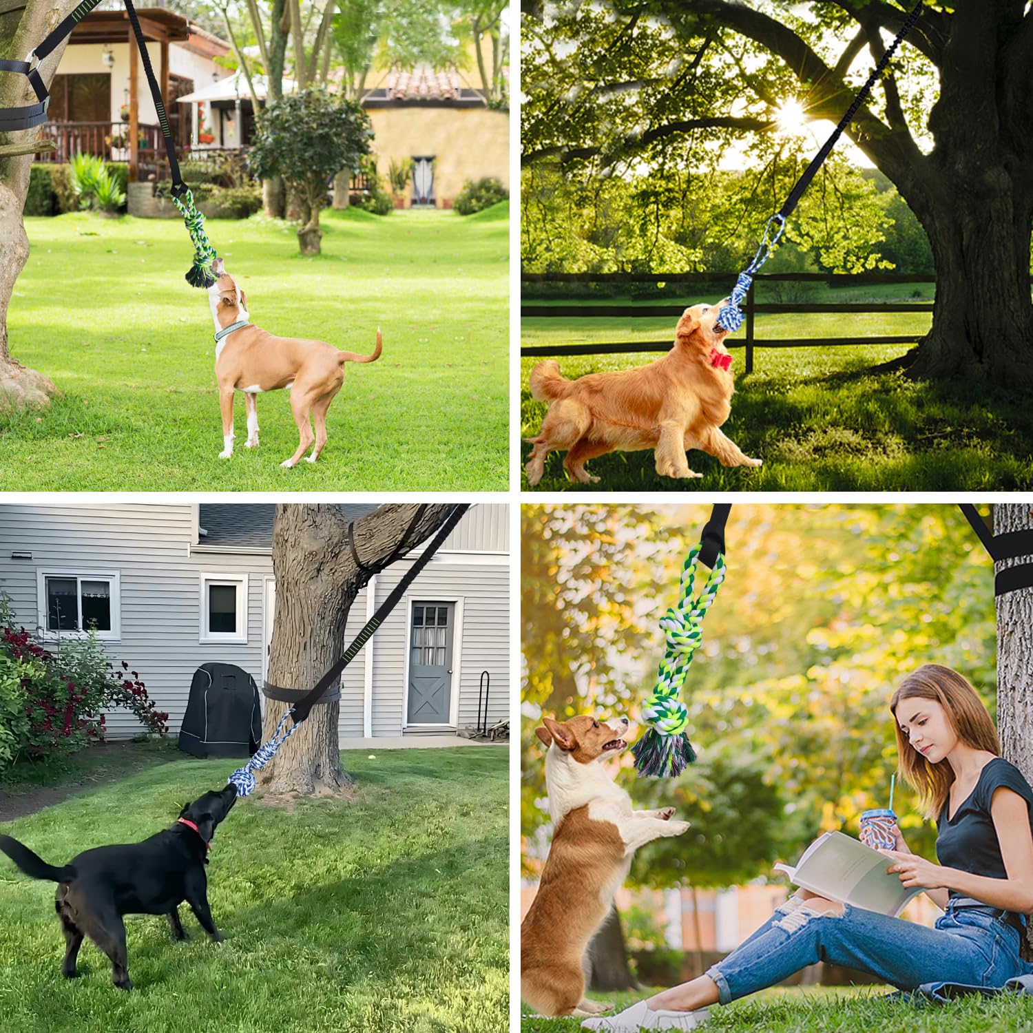 Bungee-Ziehspielzeug für Hunde, Outdoor Hundespielzeug zum Aufhängen mit 2 Kauseilen, Interaktives Tau Spielzeug Hunde Seil für Training Ziehen