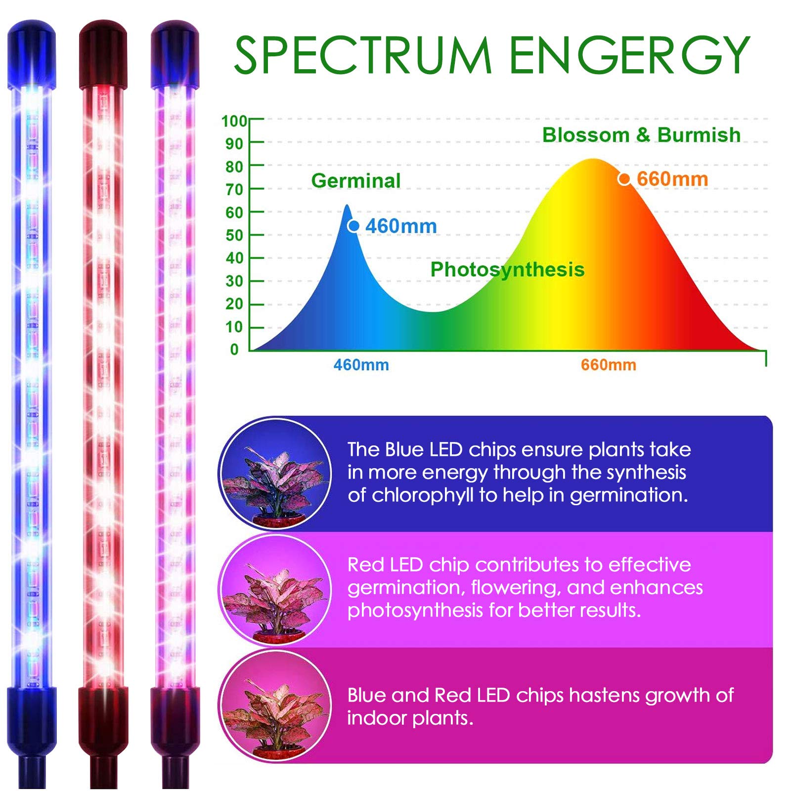 Lampada LED Per Piante A Spettro Completo - 4 Teste Flessibili Con Timer | 80 LED Per Crescita Interna E Serra