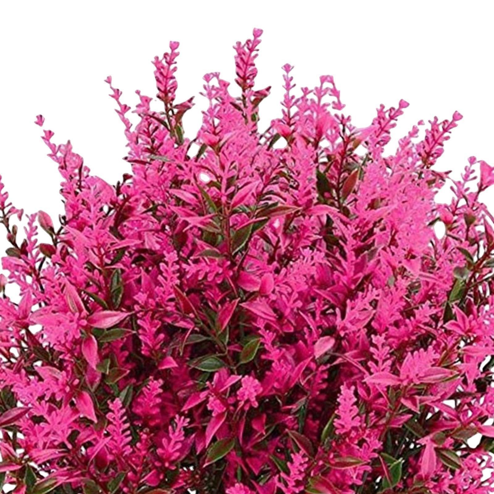 KIXZSAZ Stunning Artificial Lavender Flower Floral Bouquet for Indoor Home Decor Realistic and Vibrant Shrubs, Rose Red